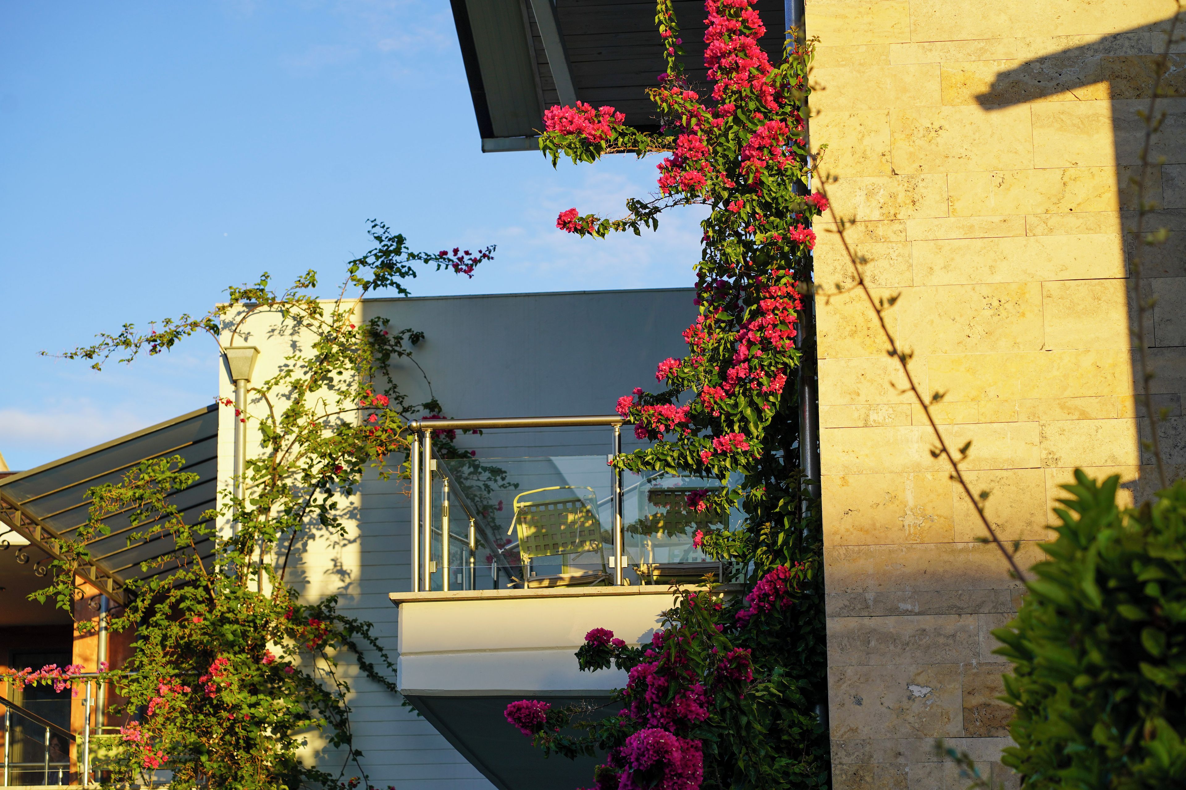 Ein modernes Gebäude mit Balkon, Kletterpflanzen und blauem Himmel.
