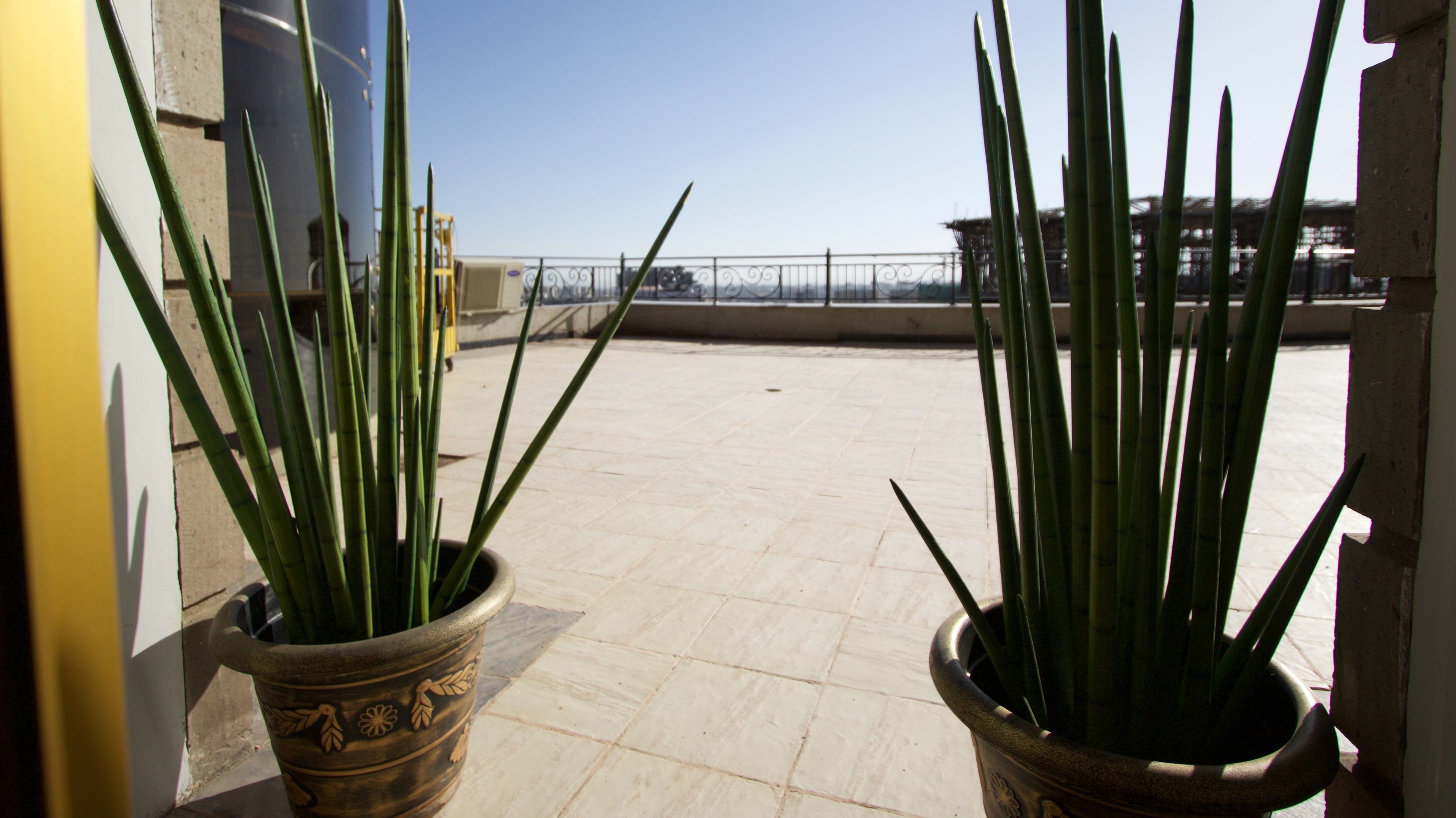 Deluxe Room, 1 Bedroom, Balcony, City View | Terrace/patio