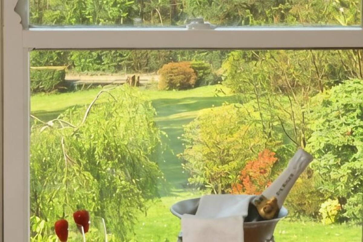 Una ventana con vista a un jardín, un cubo de metal con un gato y dos objetos rojos.