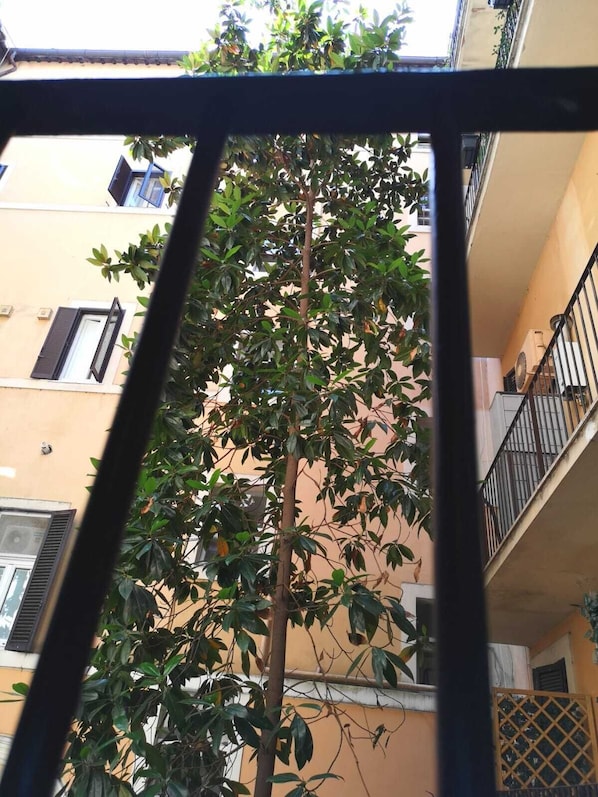 Classic Double Room | Balcony