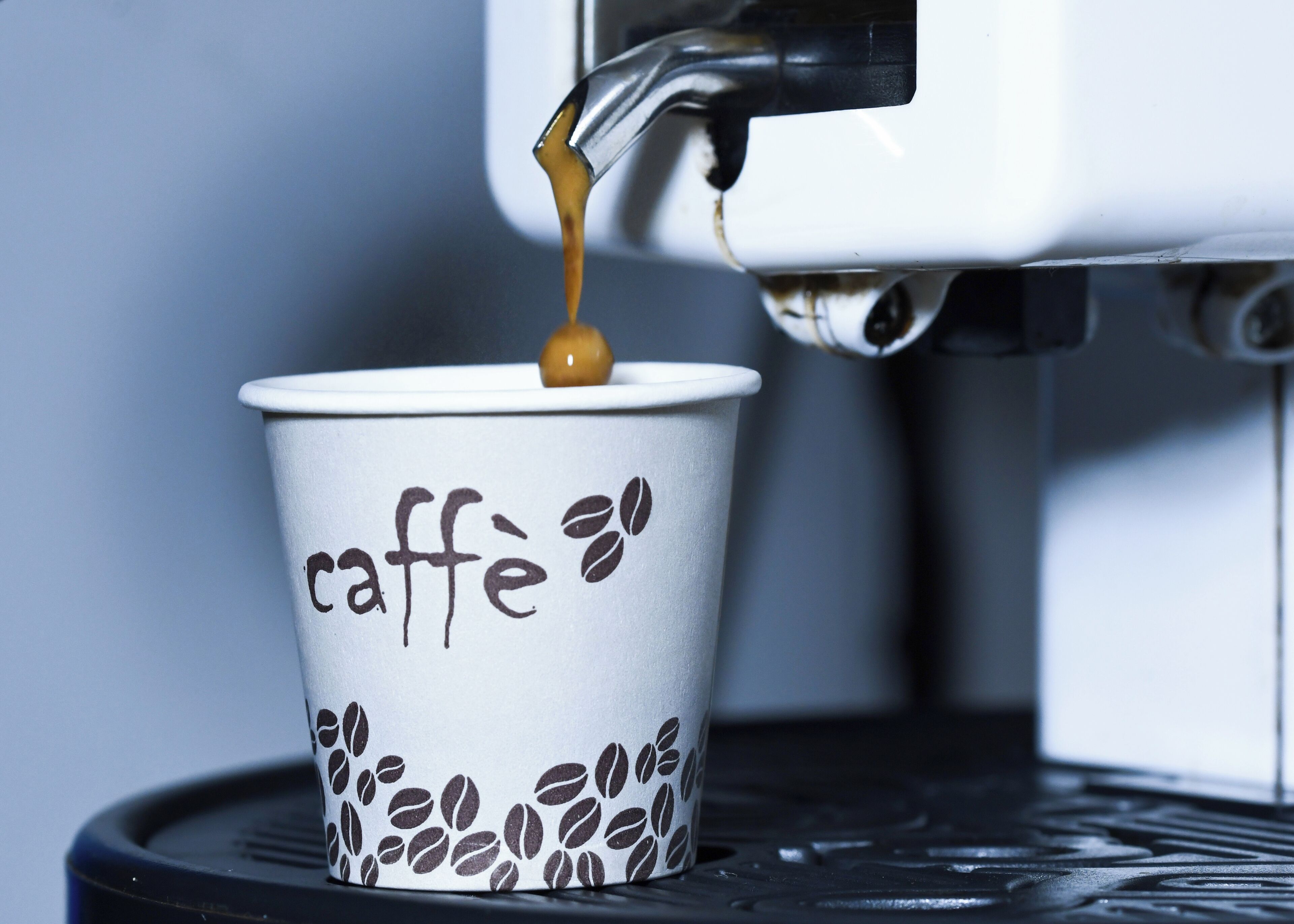 Foto - Dulcis In Pantheon