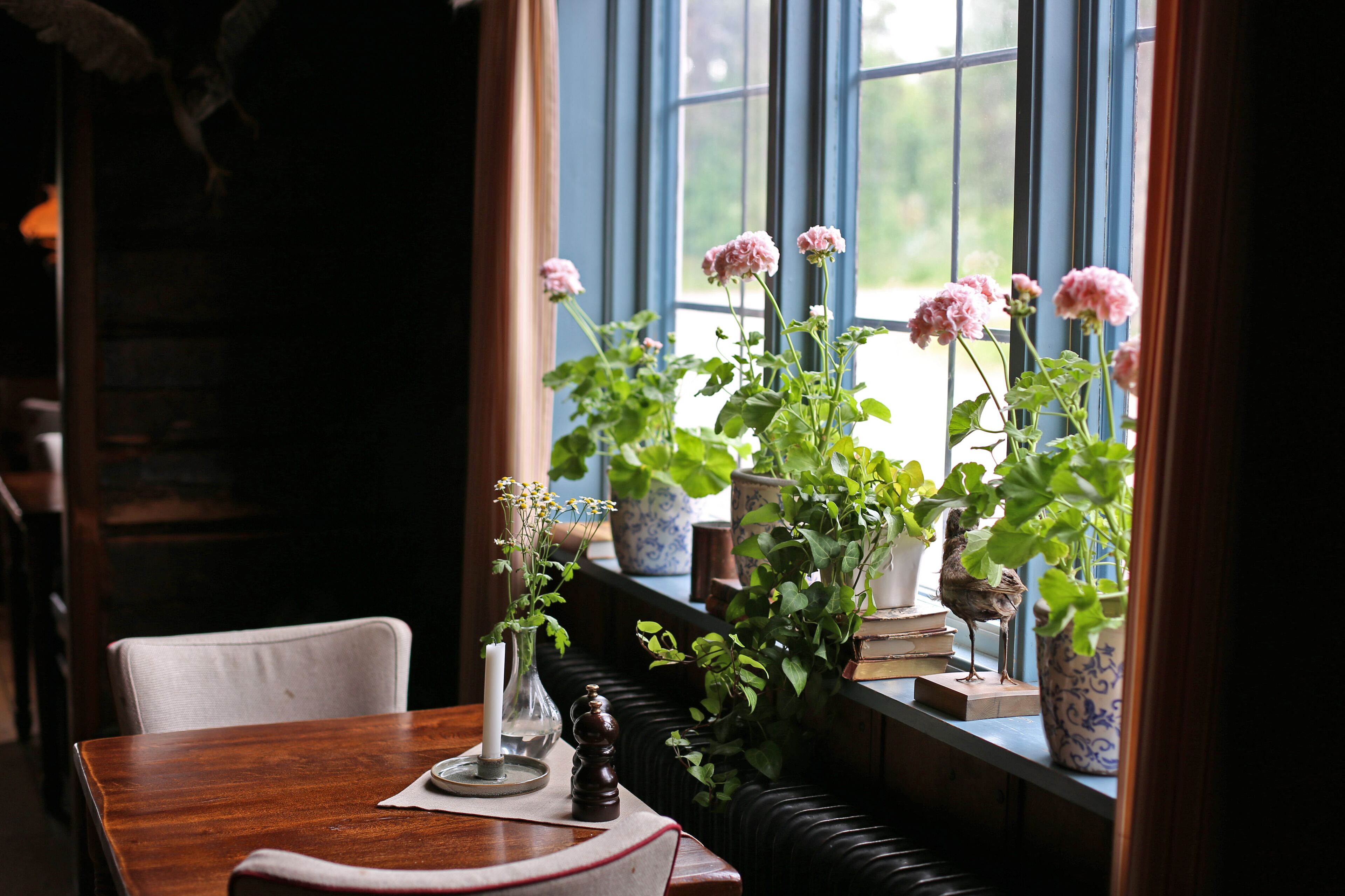 breakfast and dinner served, scandinavian cuisine