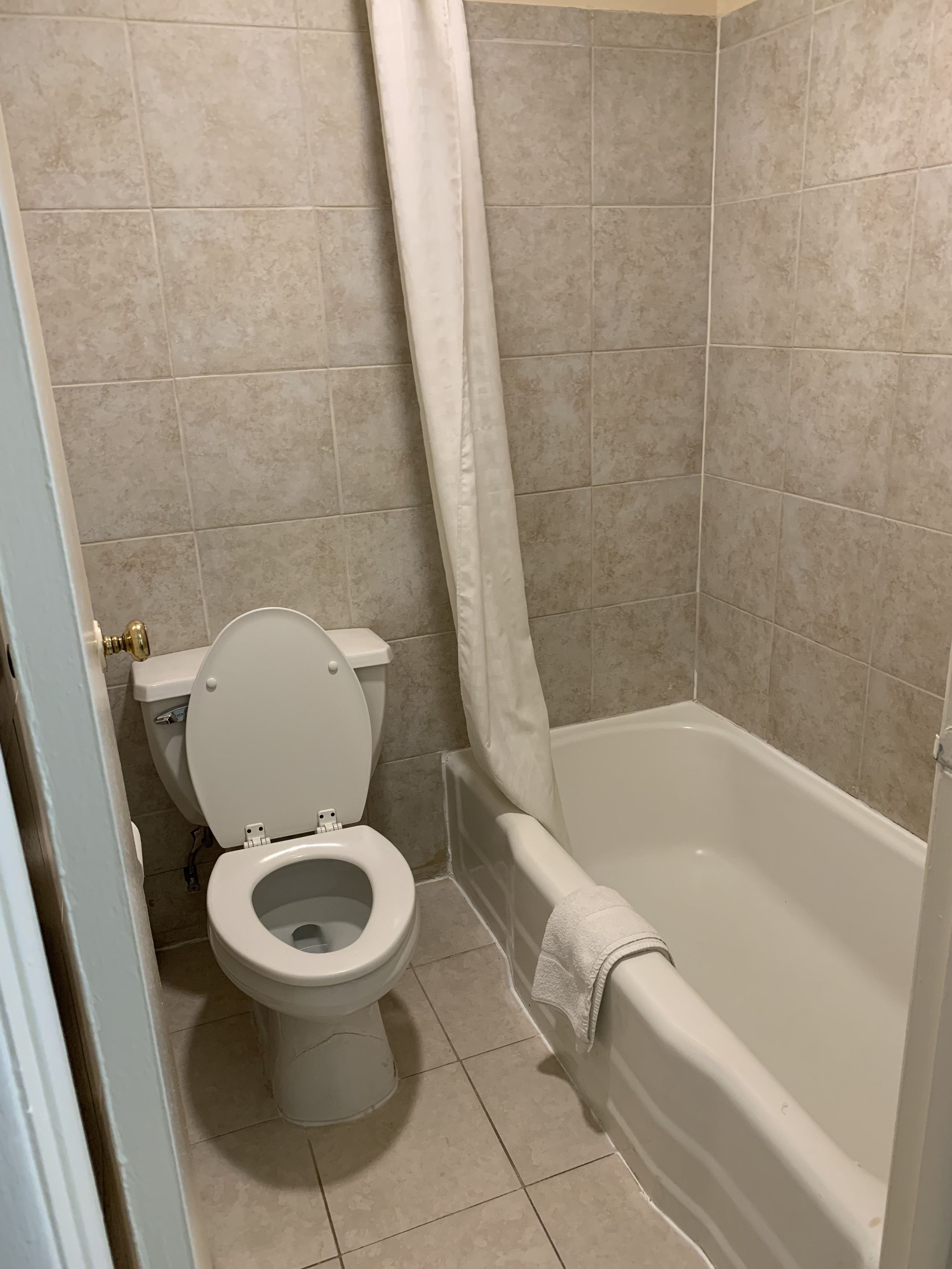 A bathroom with a toilet, bathtub, and shower curtain.