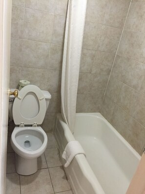 Standard Room, 1 King Bed, Non Smoking | Bathroom | Combined shower/tub, free toiletries, hair dryer, towels