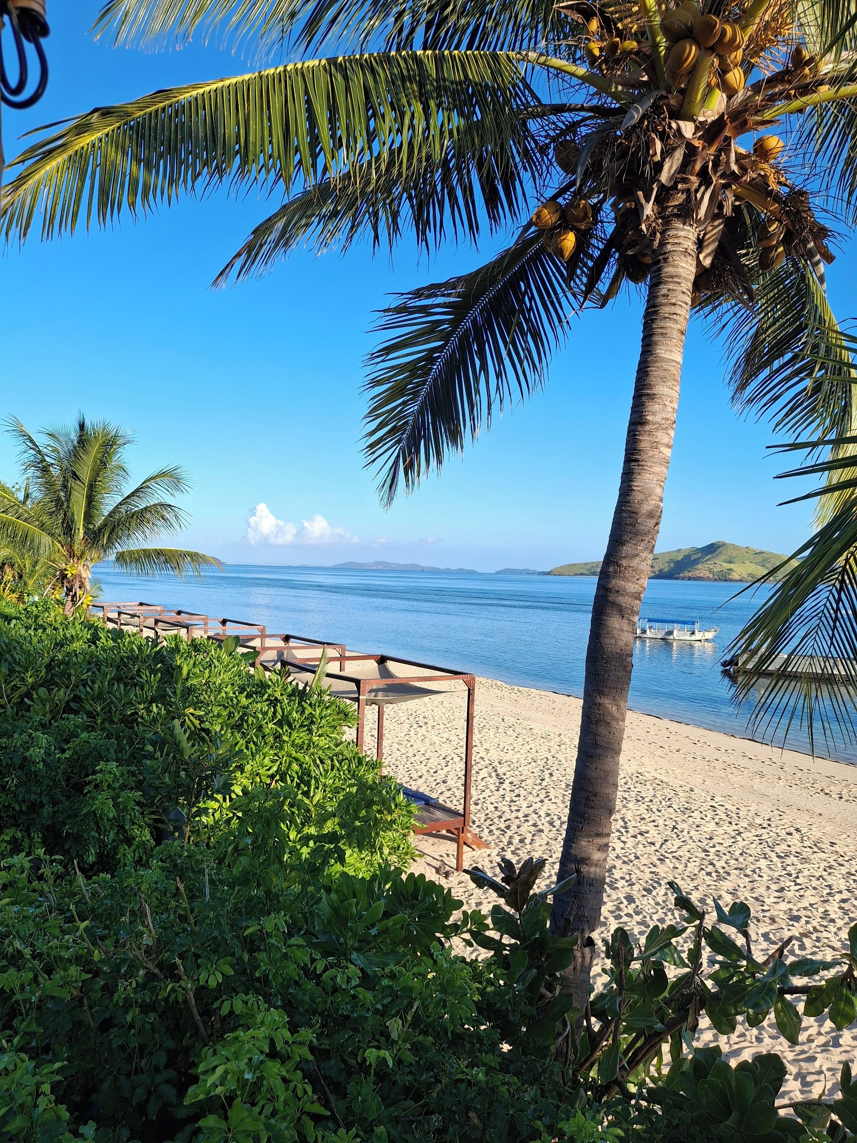 A beach with palm trees, a wooden walkway, and a boat on the water.