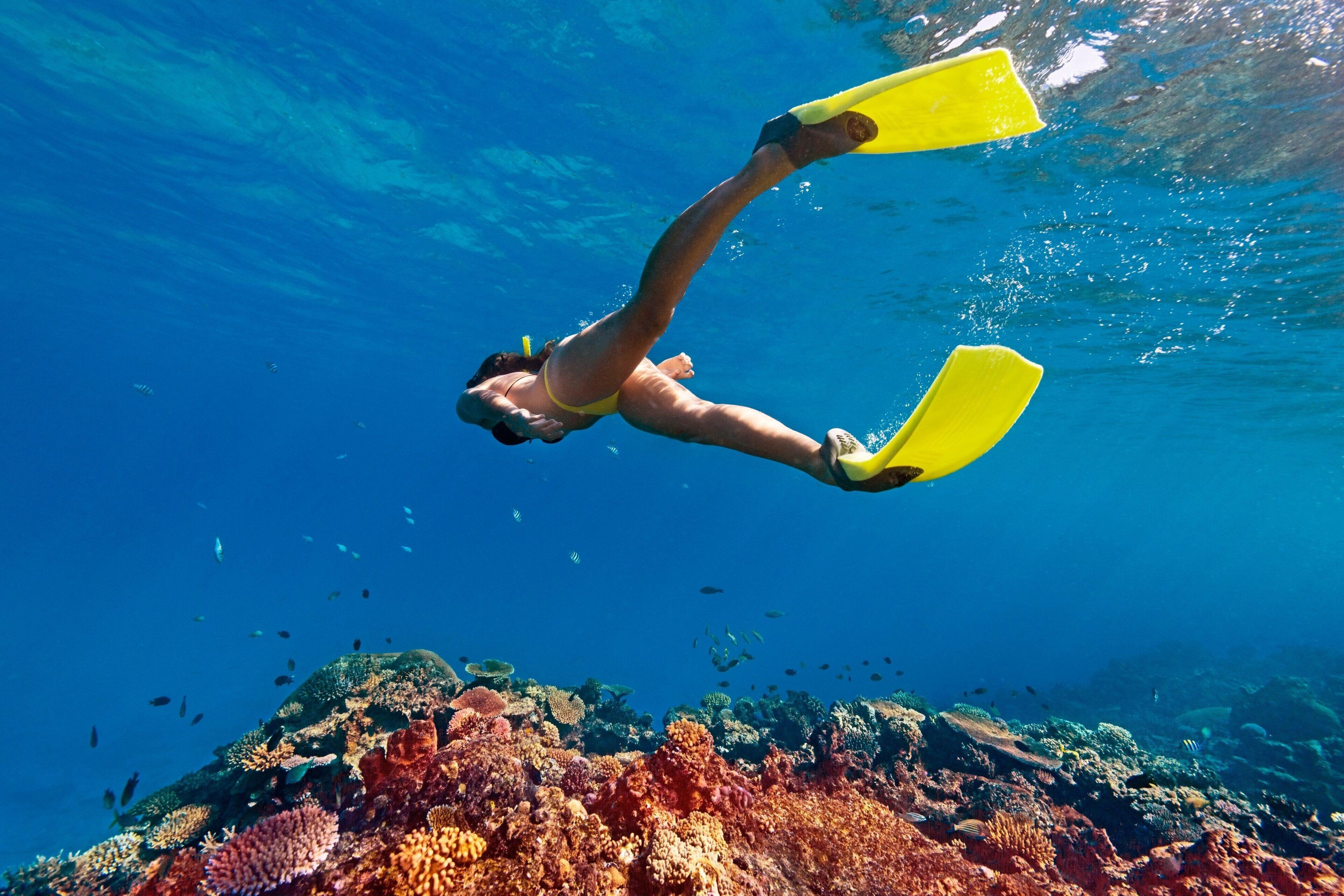 Una persona bucea con aletas amarillas, rodeada de vibrantes arrecifes de coral y diversos peces.