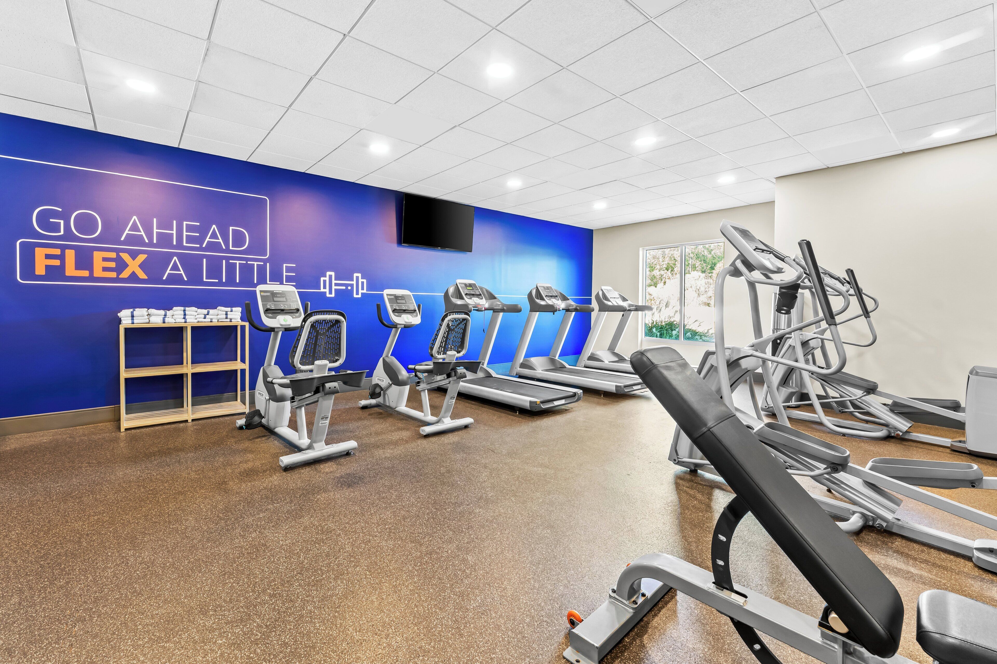 A gym with treadmills, elliptical machines, and a bench press area.