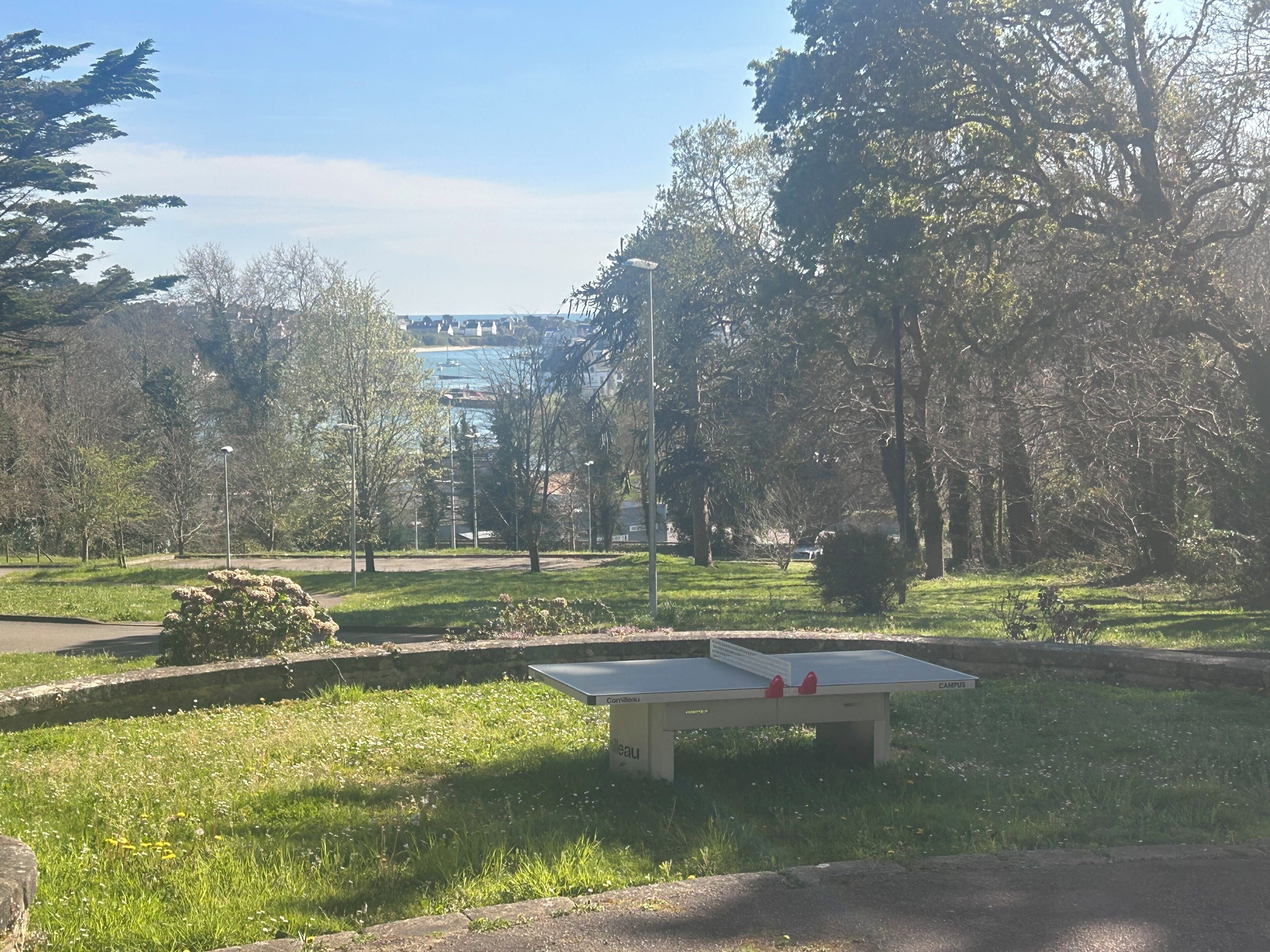 Un parco con un tavolo da ping pong, erba, alberi e una vista in lontananza di edifici.