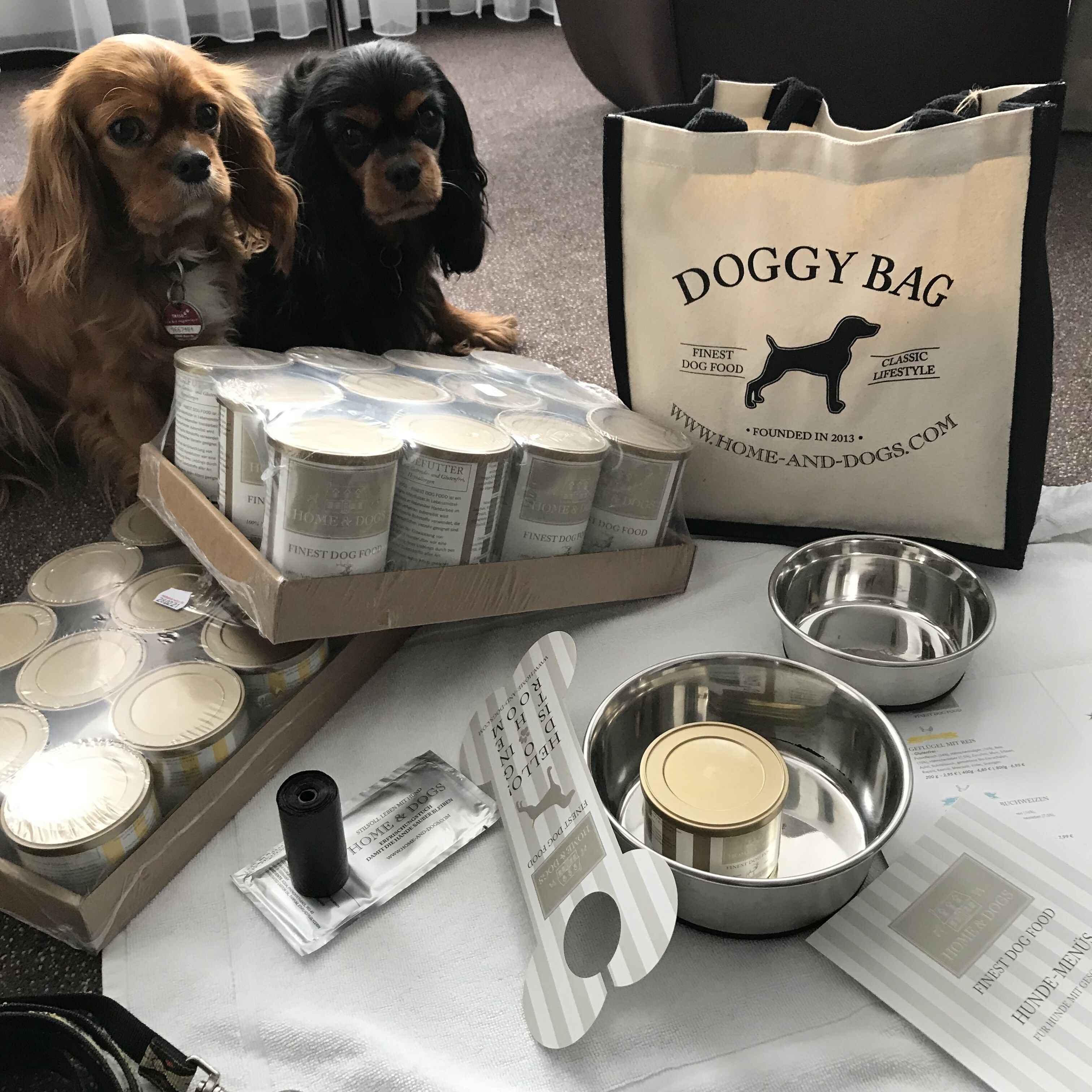 pet-friendly amenities