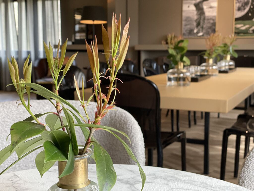 A dining area with a marble table, chairs, and a potted plant in the foreground.