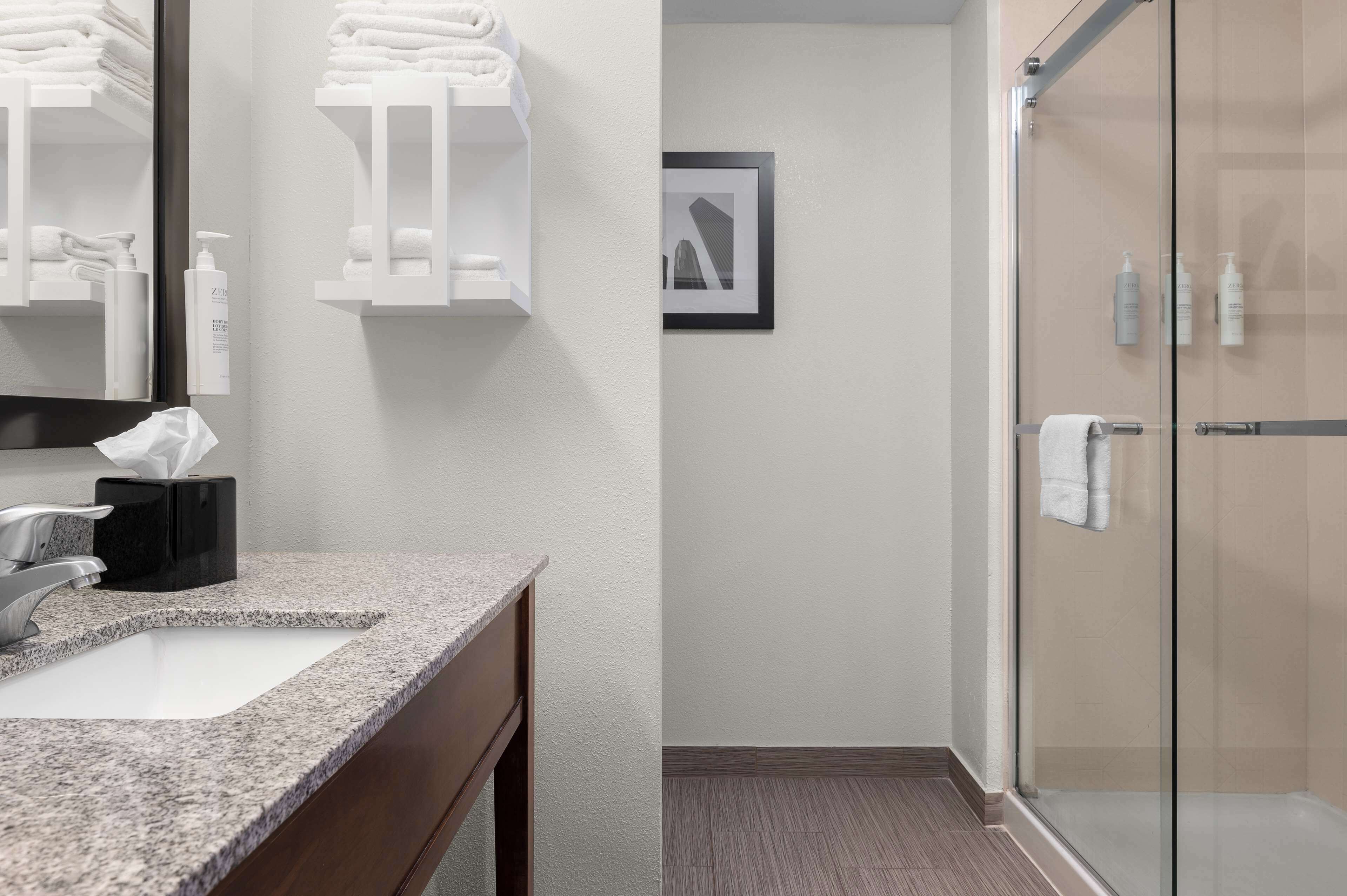 studio, 1 king bed | bathroom shower