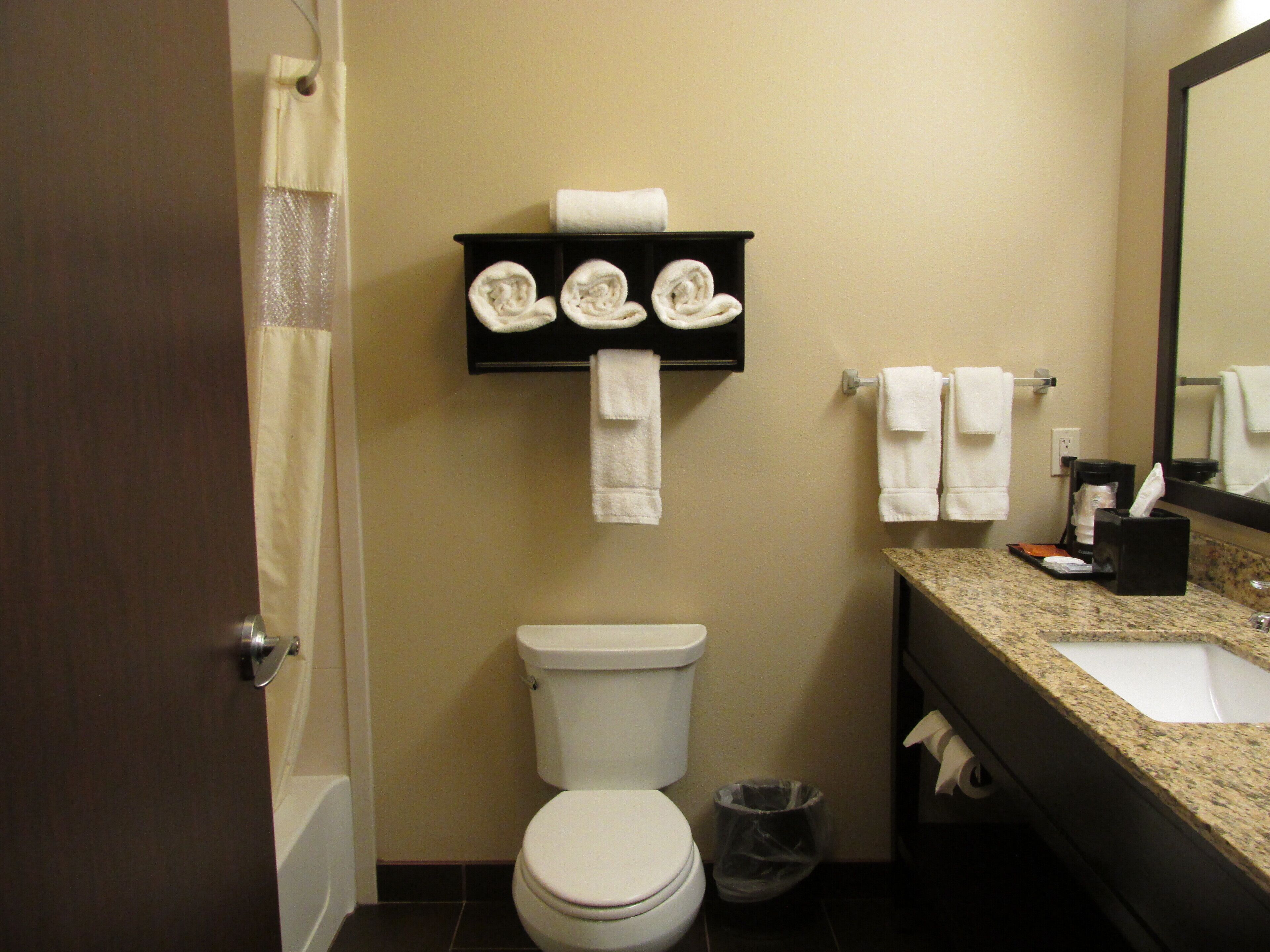 combined shower/bathtub, free toiletries, hair dryer, towels