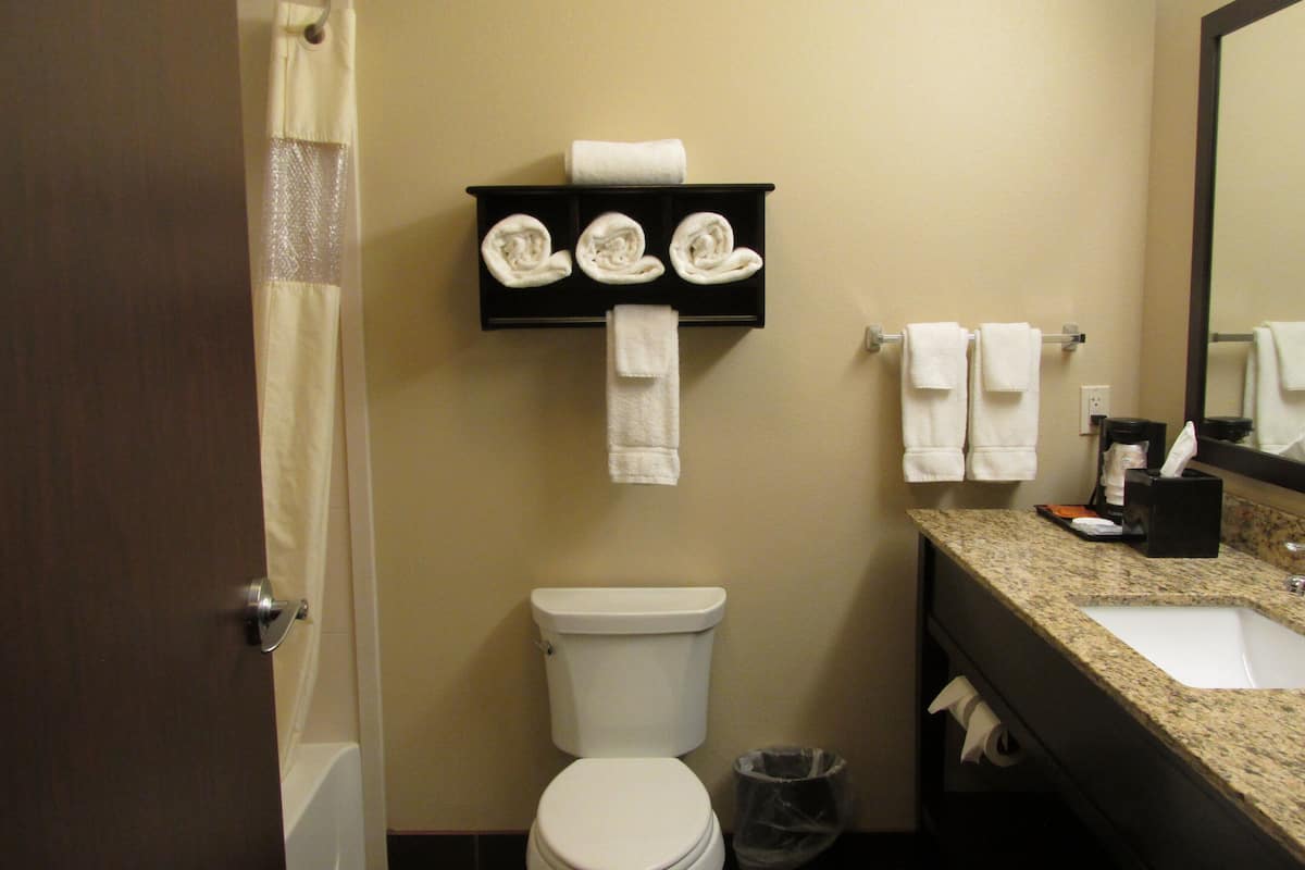 combined shower/bathtub, free toiletries, hair dryer, towels