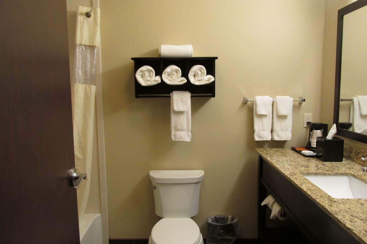 Een badkamer met toilet, wastafel en handdoekhouder.
