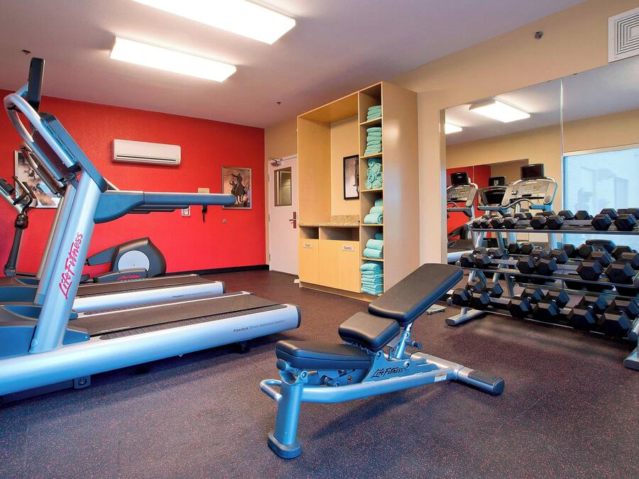 A gym with treadmills, dumbbells, and exercise benches.