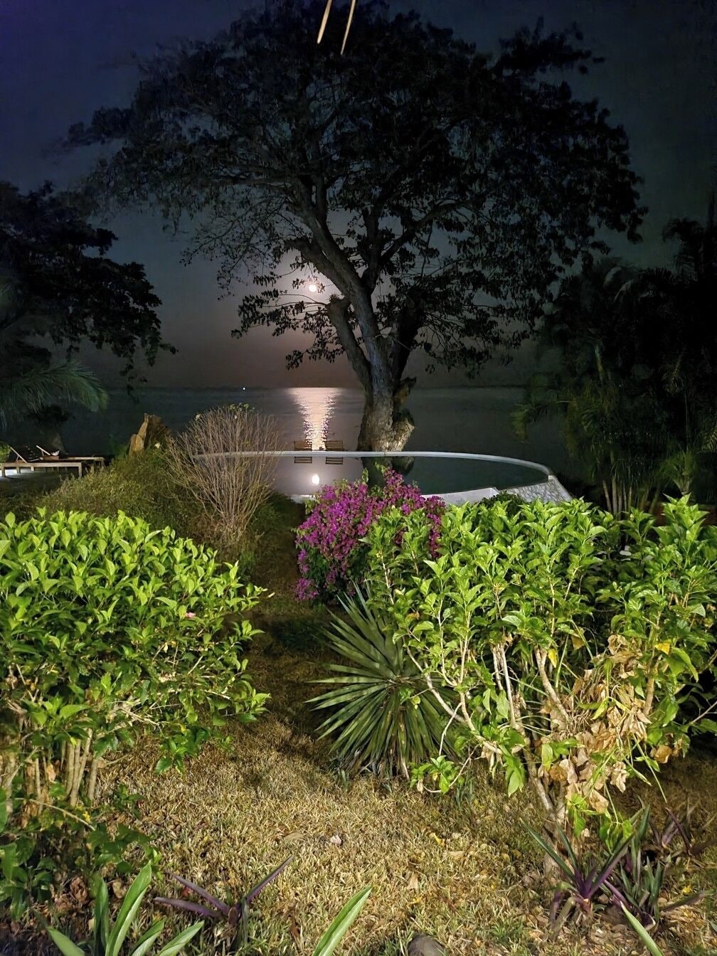 حمّام سباحة خارجي