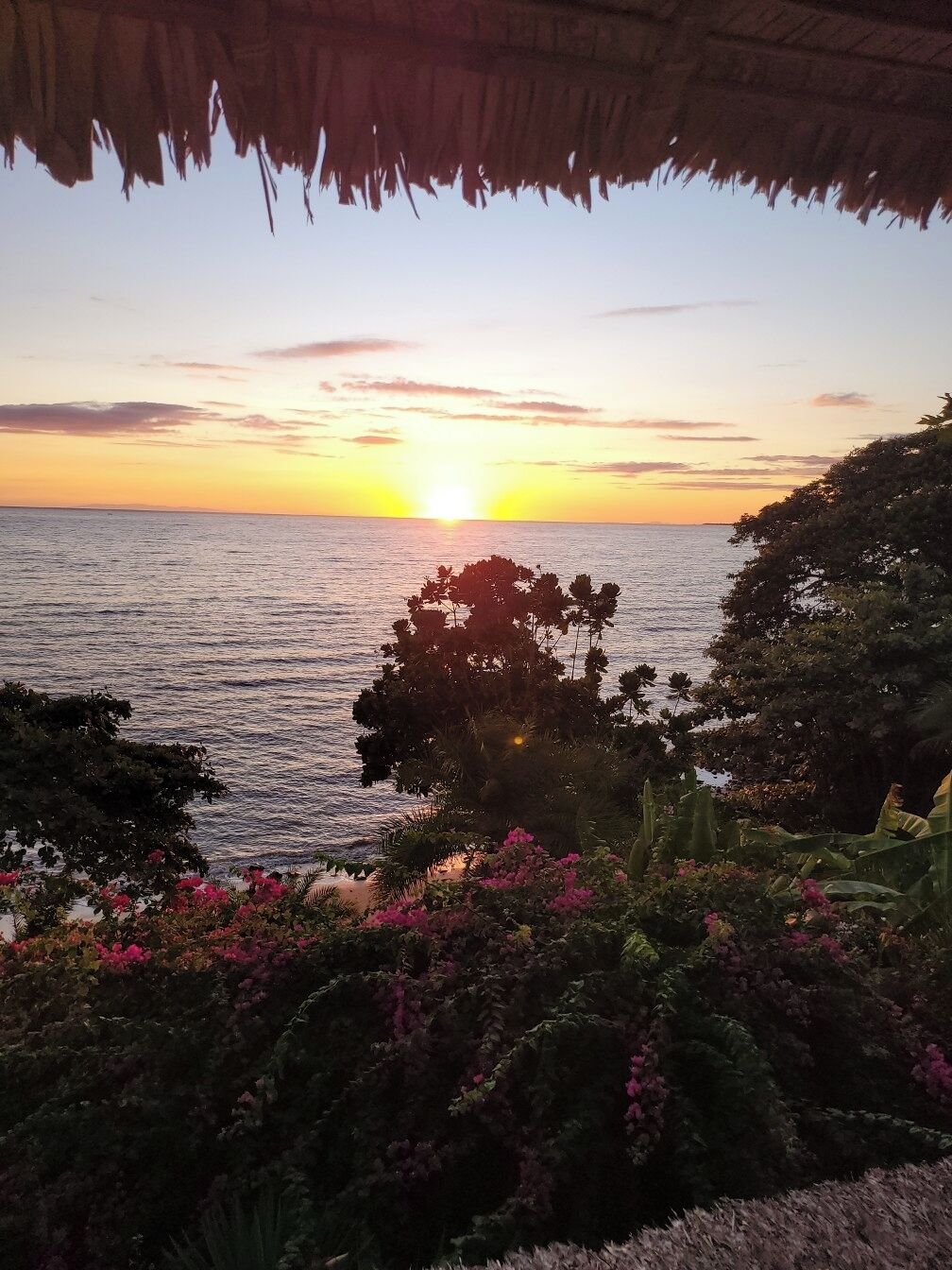 Vista al atardecer desde un espacio cubierto con vistas al mar, y vegetación en primer plano.