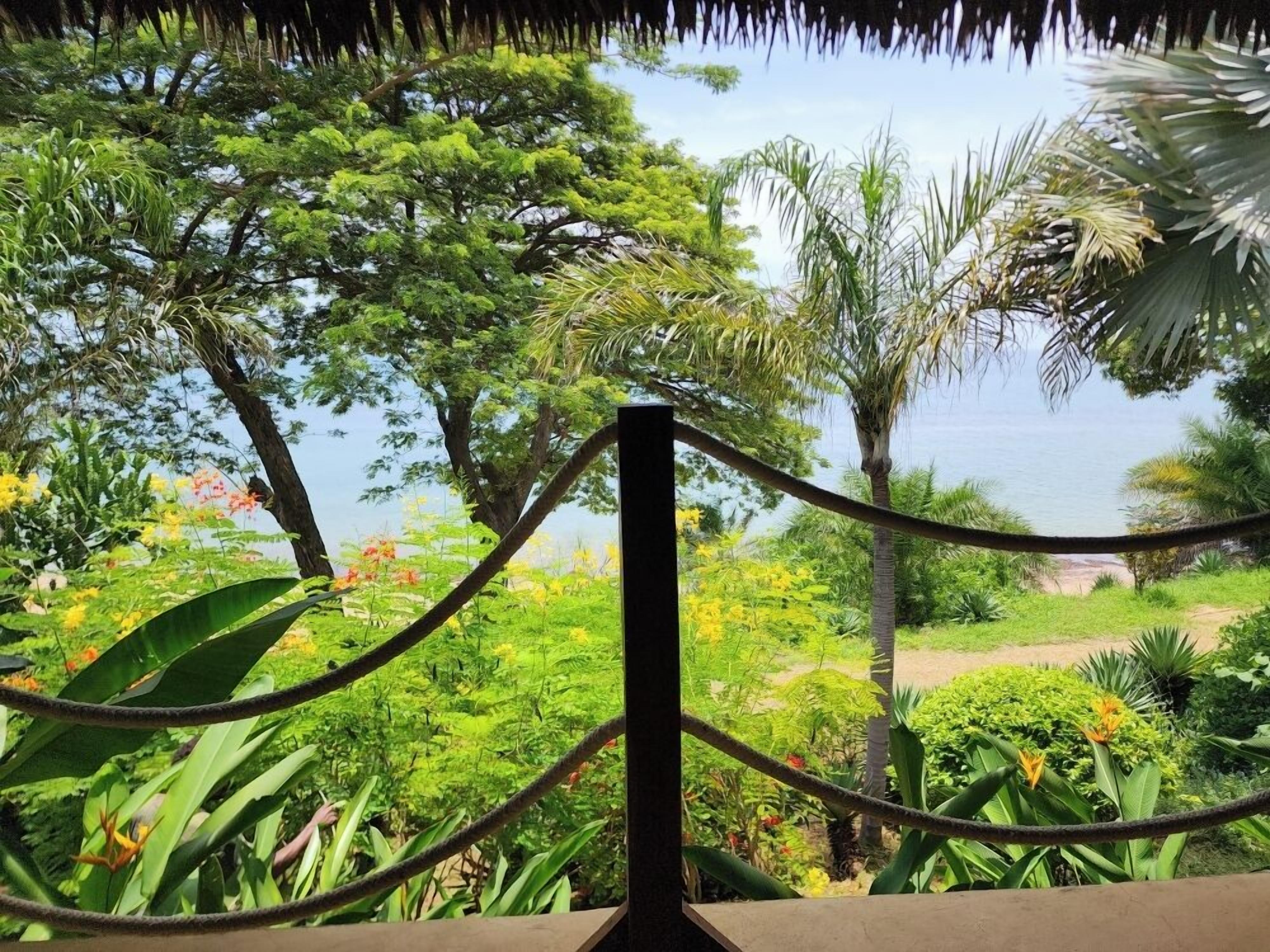 A rope barrier in a lush garden with diverse tropical plants and a view of the sea.