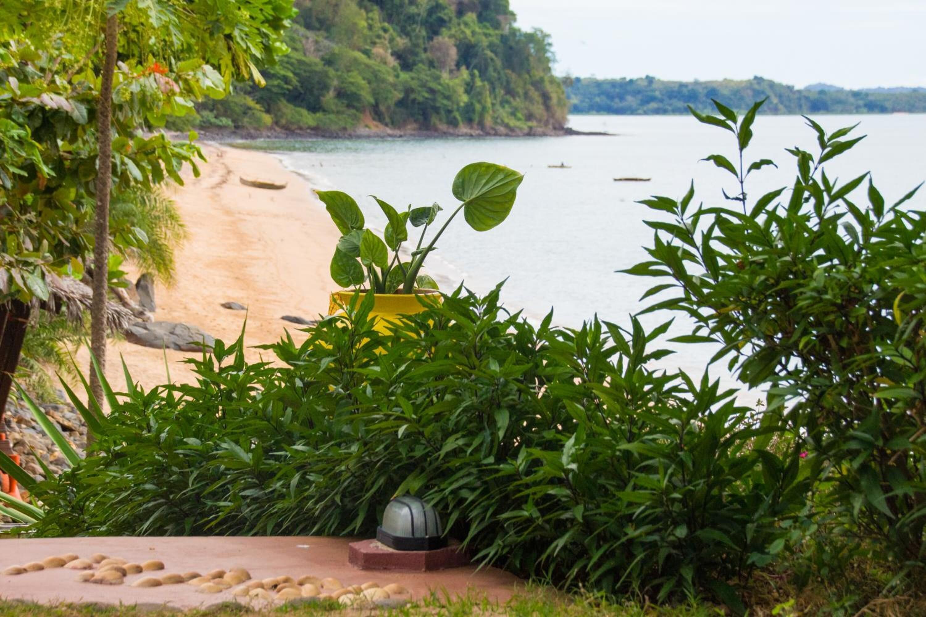Vista de la playa con un sendero que lleva a una jardinera amarilla con plantas verdes.