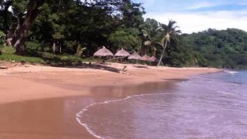 A beach with a sandy shore, palm trees, and thatched umbrellas.