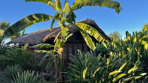 Experience a tranquil retreat amidst lush tropical vegetation, surrounded by banana trees and agave plants.