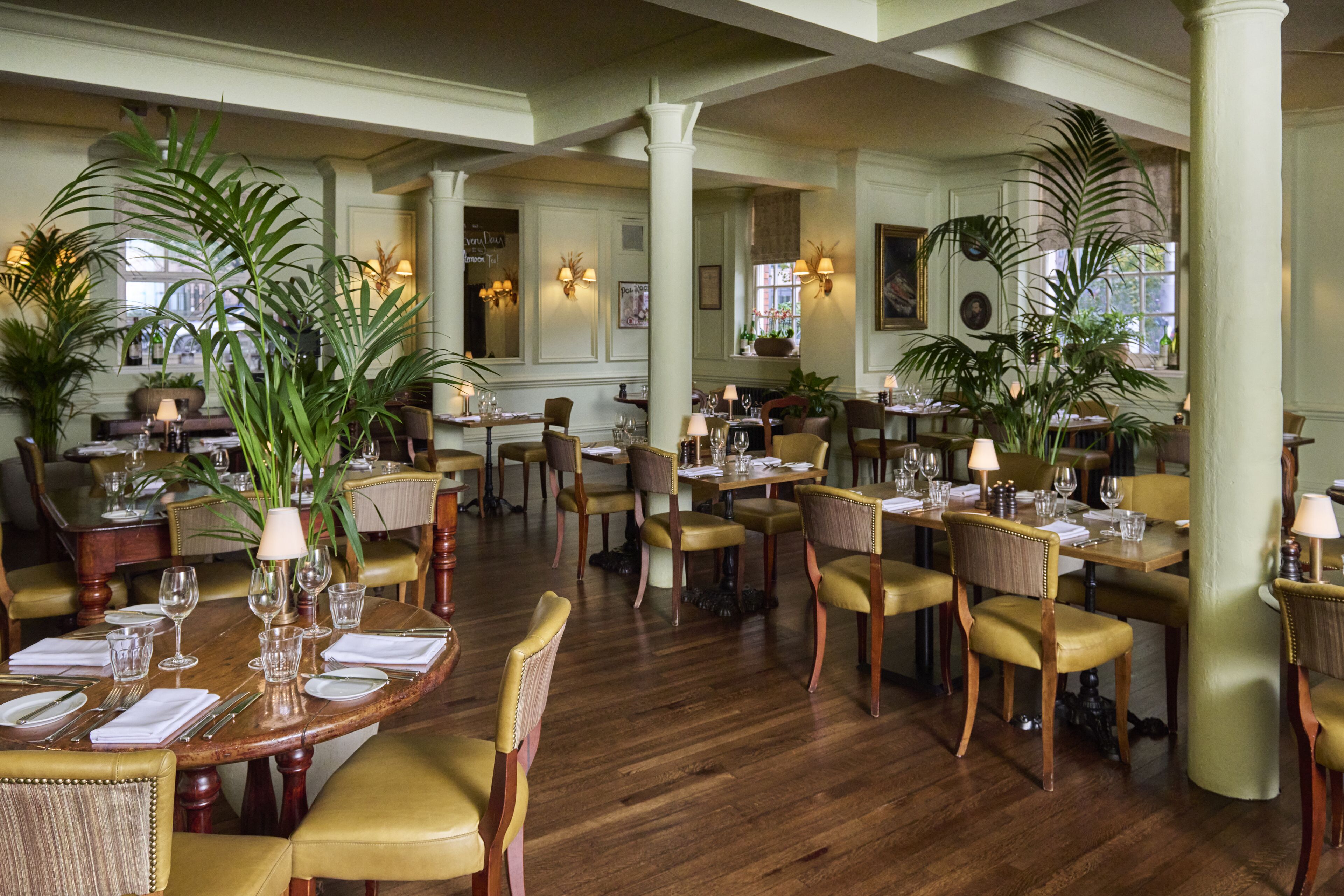 A spacious dining area with multiple tables and chairs, large windows, and potted plants.