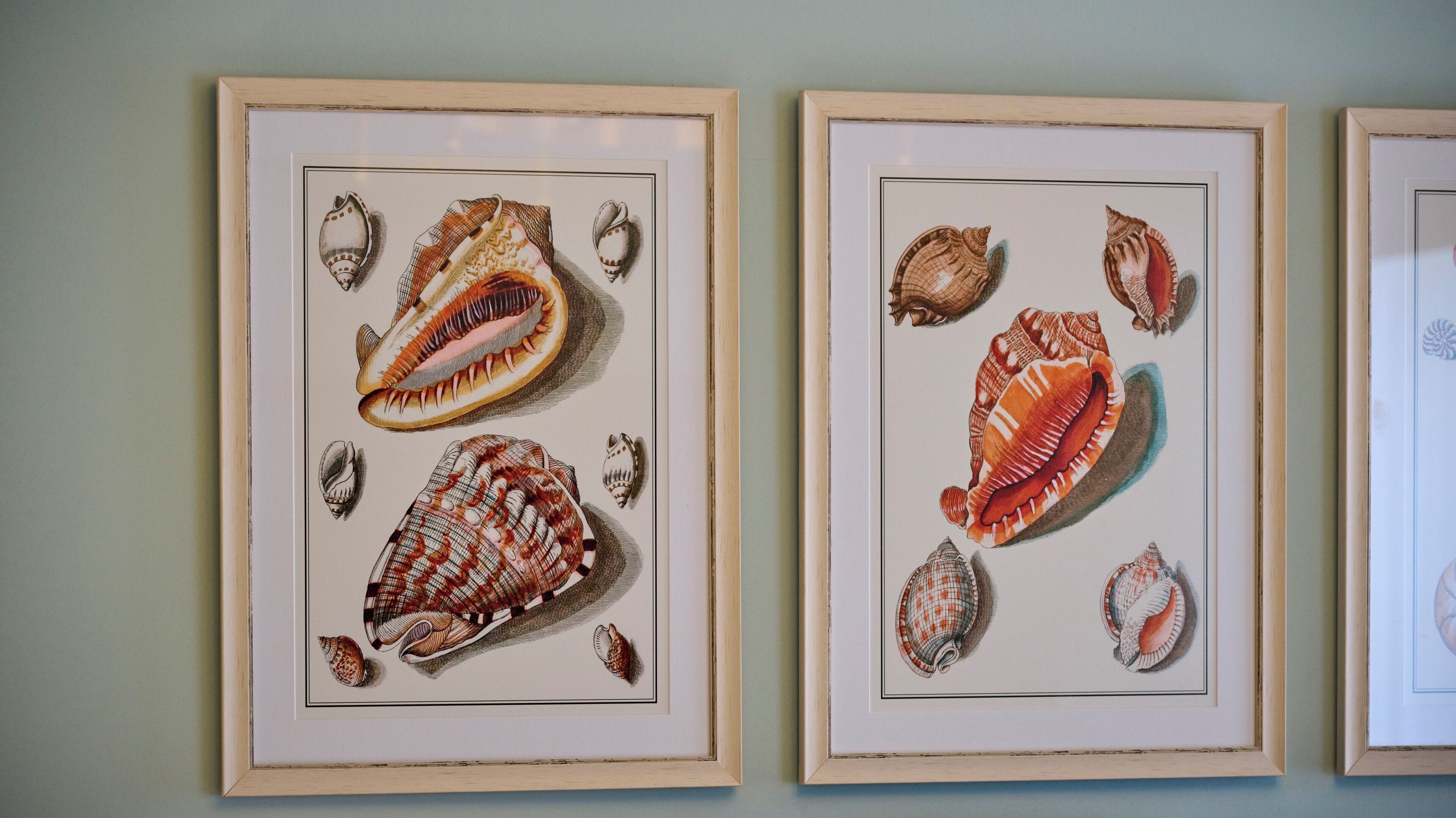 classic double room | 1 bedroom, egyptian cotton sheets, premium bedding, in-room safe