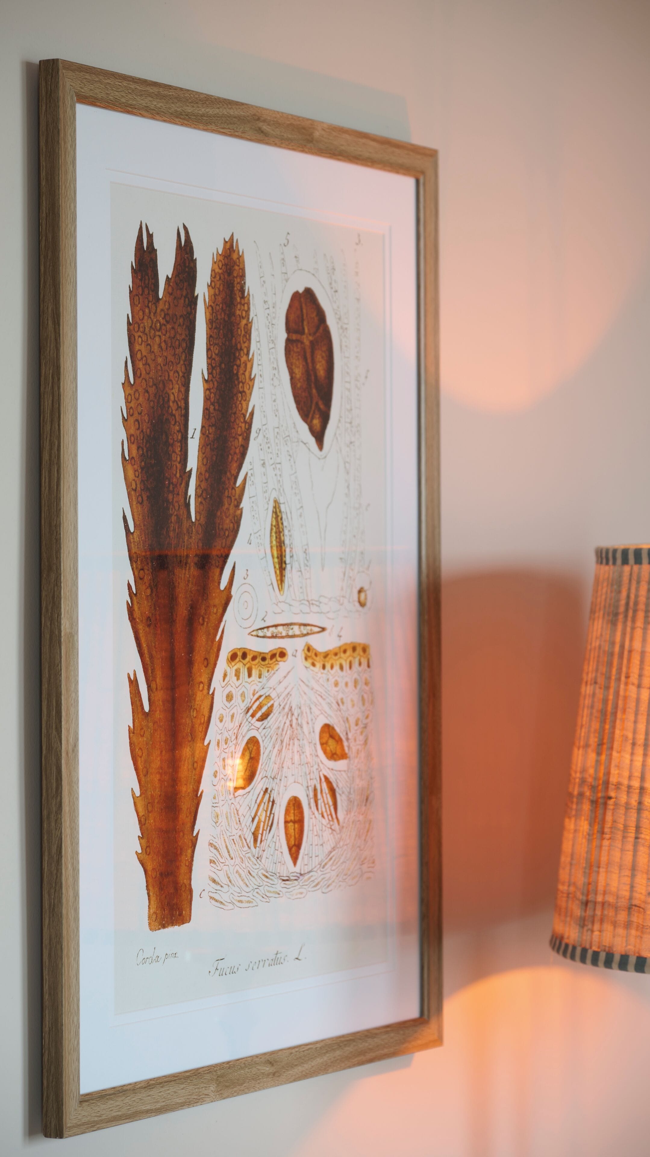 junior suite | 1 bedroom, egyptian cotton sheets, premium bedding, in-room safe