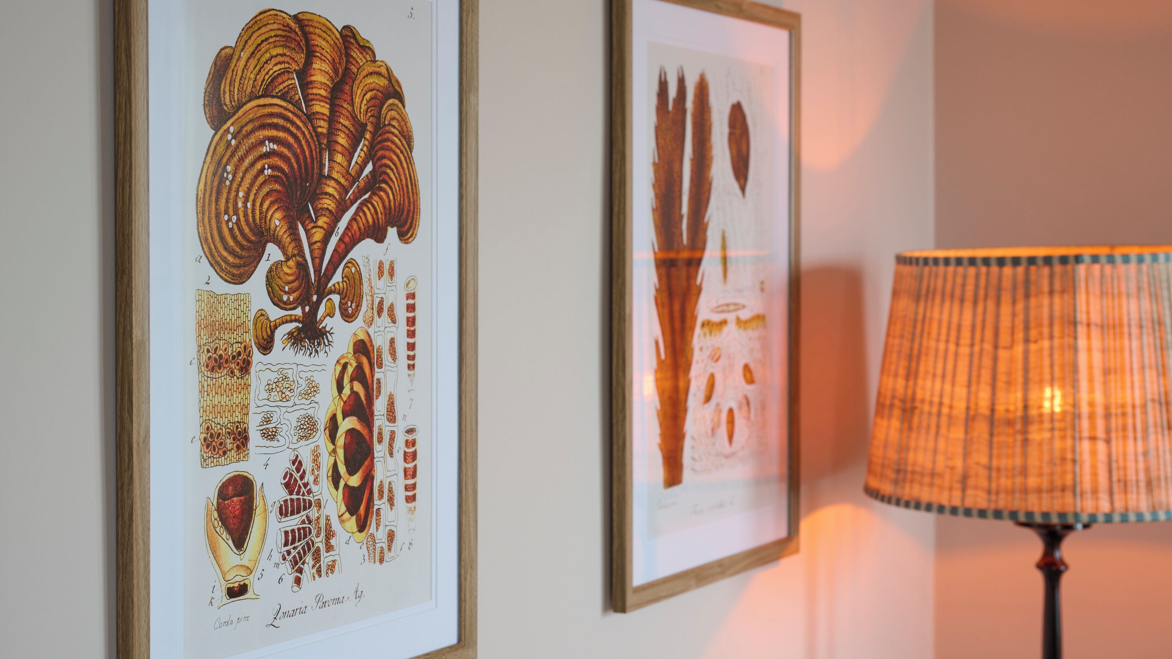 junior suite | 1 bedroom, egyptian cotton sheets, premium bedding, in-room safe