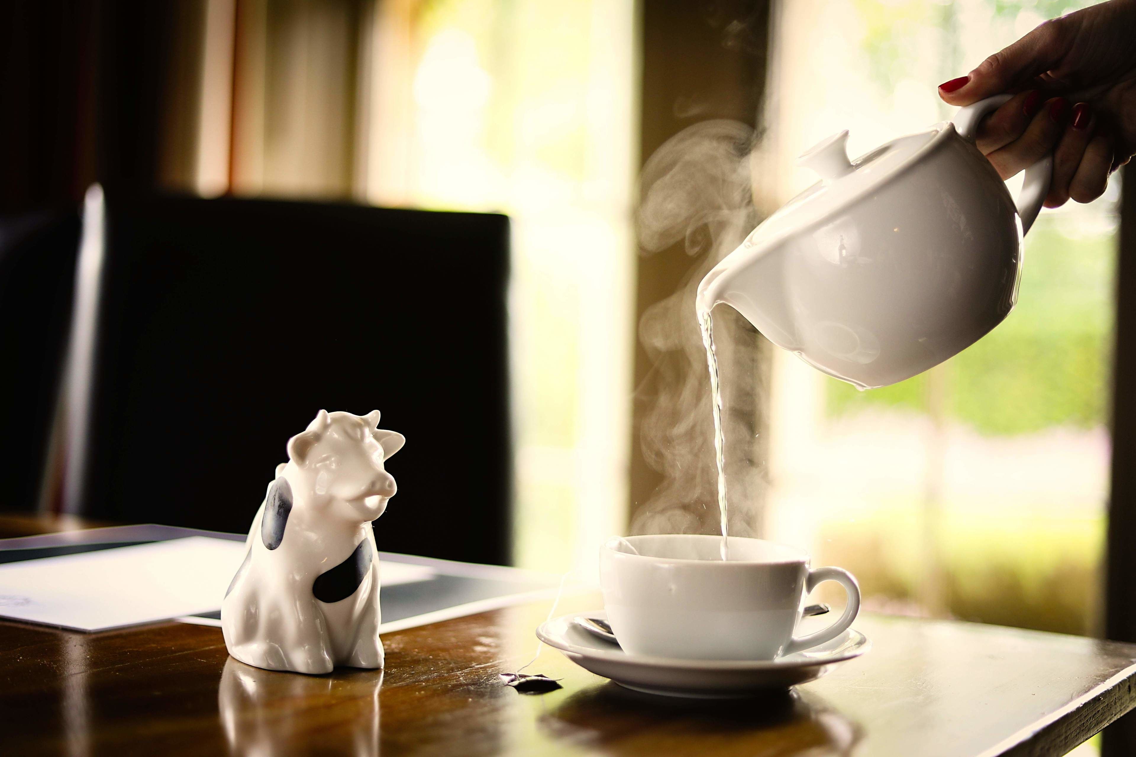 breakfast, lunch and dinner served