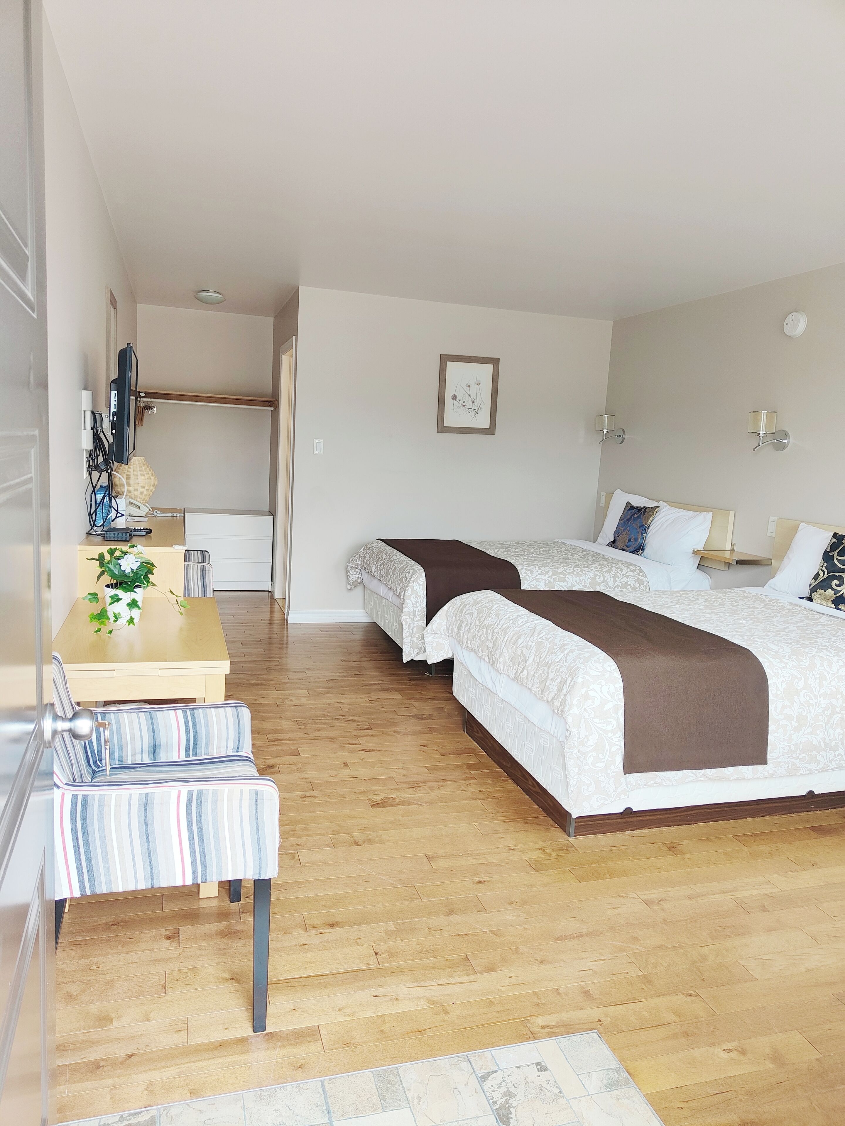 Habitación de hotel con dos camas, un escritorio con silla, una mesita con planta y suelo de madera.