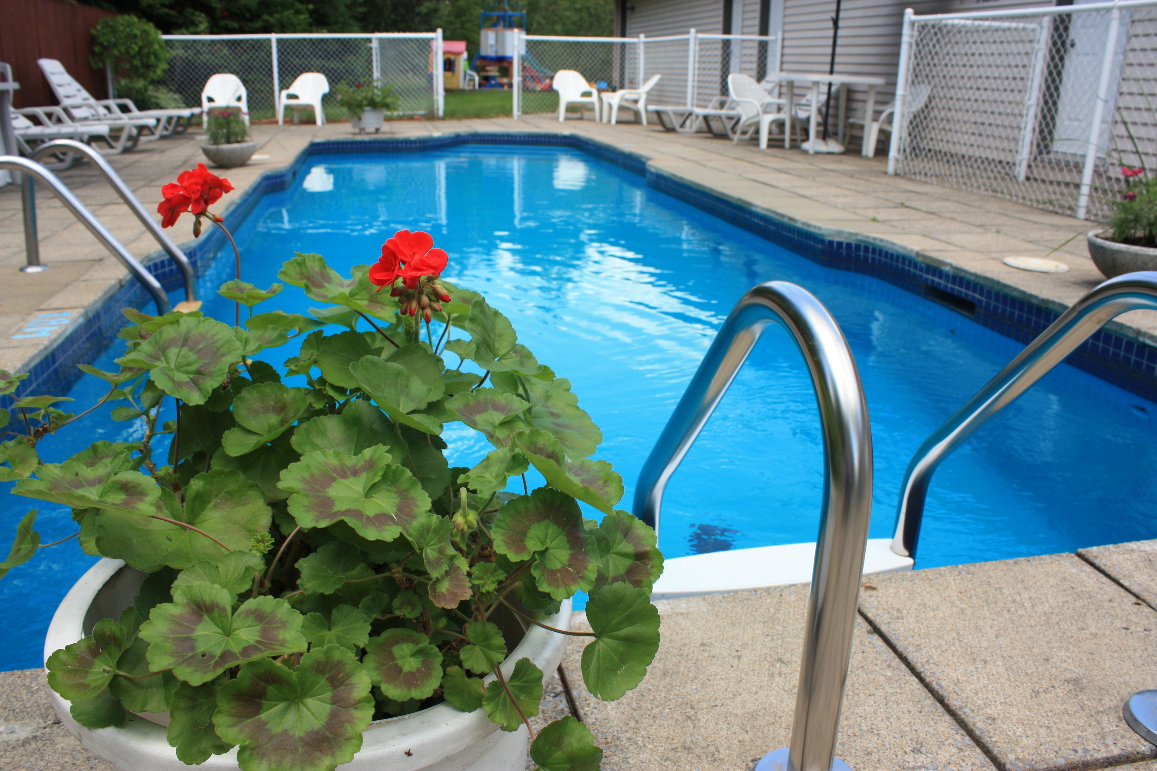 A swimming pool with a metal ladder, surrounded by lounge chairs and potted plants.