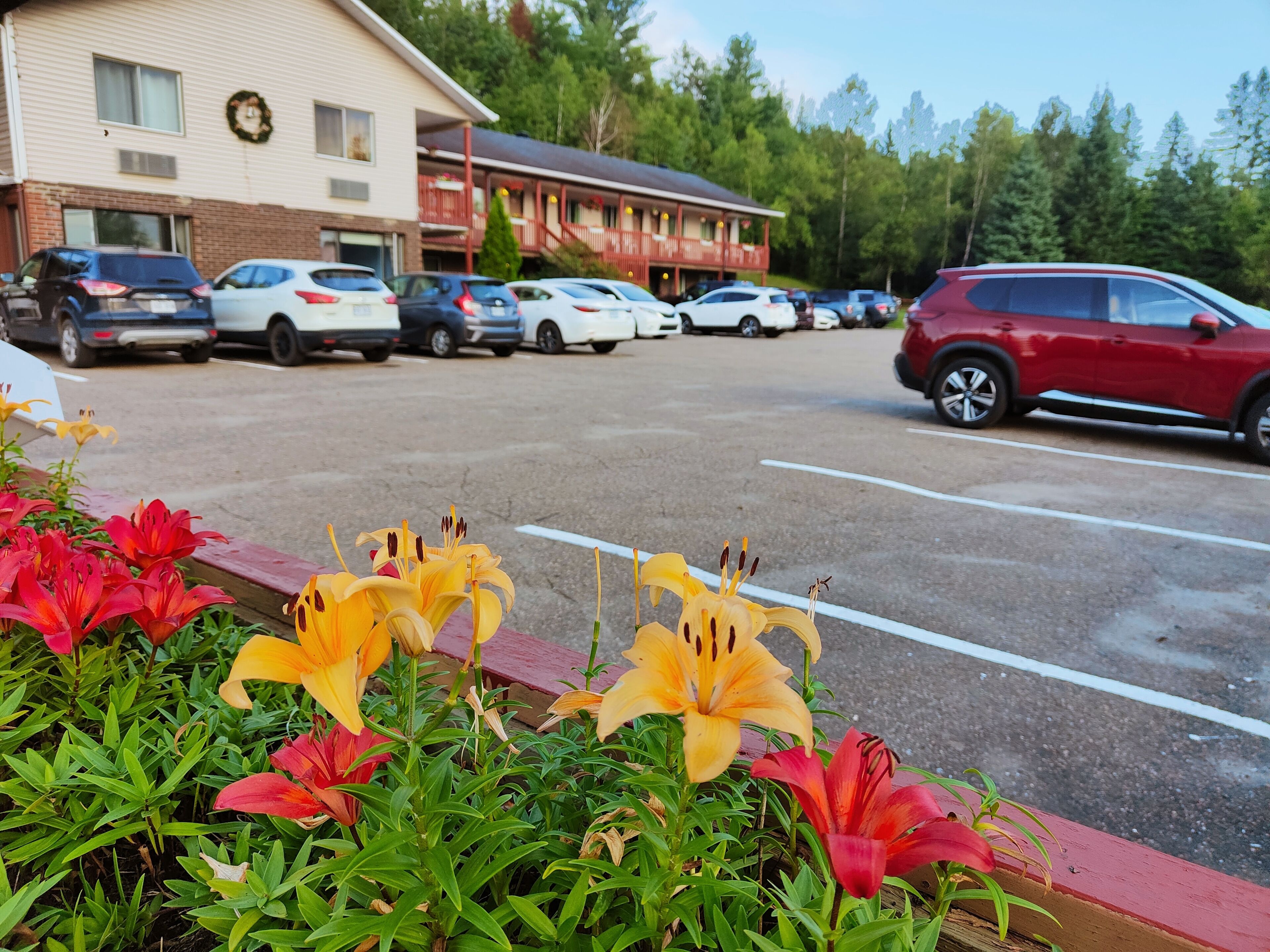 A parking lot with several cars, a building with a porch, and a row of flowers in the foreground.