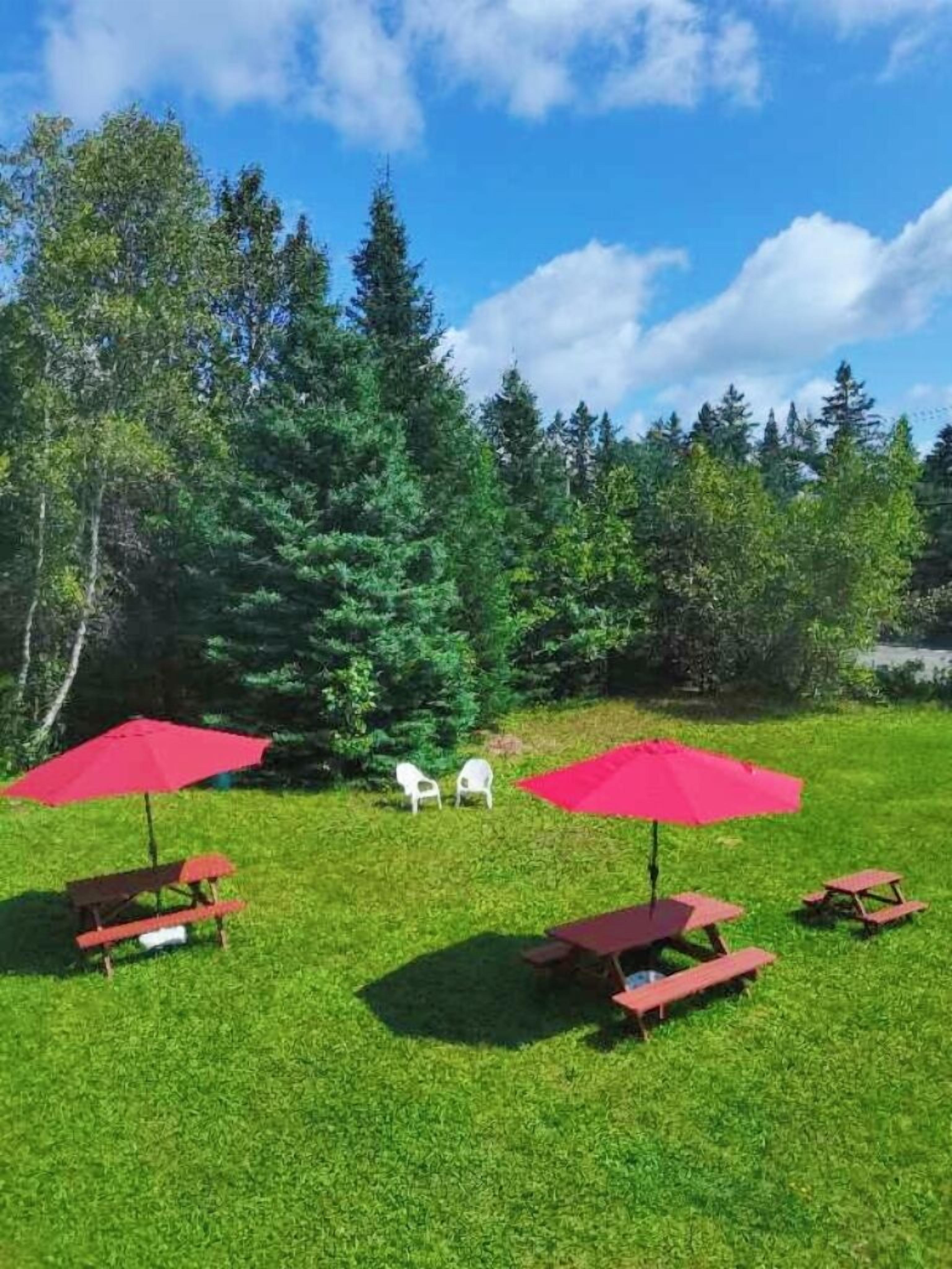 A grassy outdoor area with picnic tables and red umbrellas, surrounded by trees.