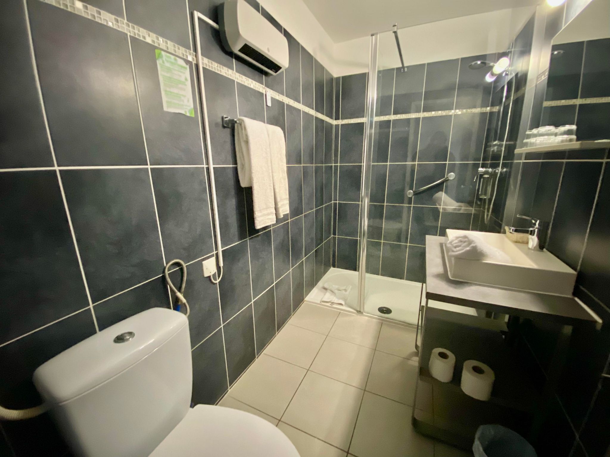 Et moderne badeværelse med mørke fliser, en brusekabine med glasvægge, et hvidt toilet og en vask med spejl.