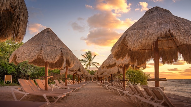 A beach with thatched umbrellas and sun loungers aligned along the shore. - Platinum Yucatan Princess Adults Only - All Inclusive  (Playa del Carmen)