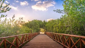 A wooden boardwalk with a metal railing, surrounded by dense greenery. - Platinum Yucatan Princess Adults Only - All Inclusive  (Playa del Carmen)