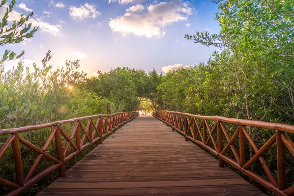 Une promenade en bois dotée d’une rambarde métallique, entourée d’une végétation luxuriante.