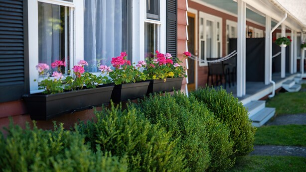 Une maison dotée d’un porche abrité, de jardinières remplies de fleurs roses et d’arbustes soigneusement taillés.