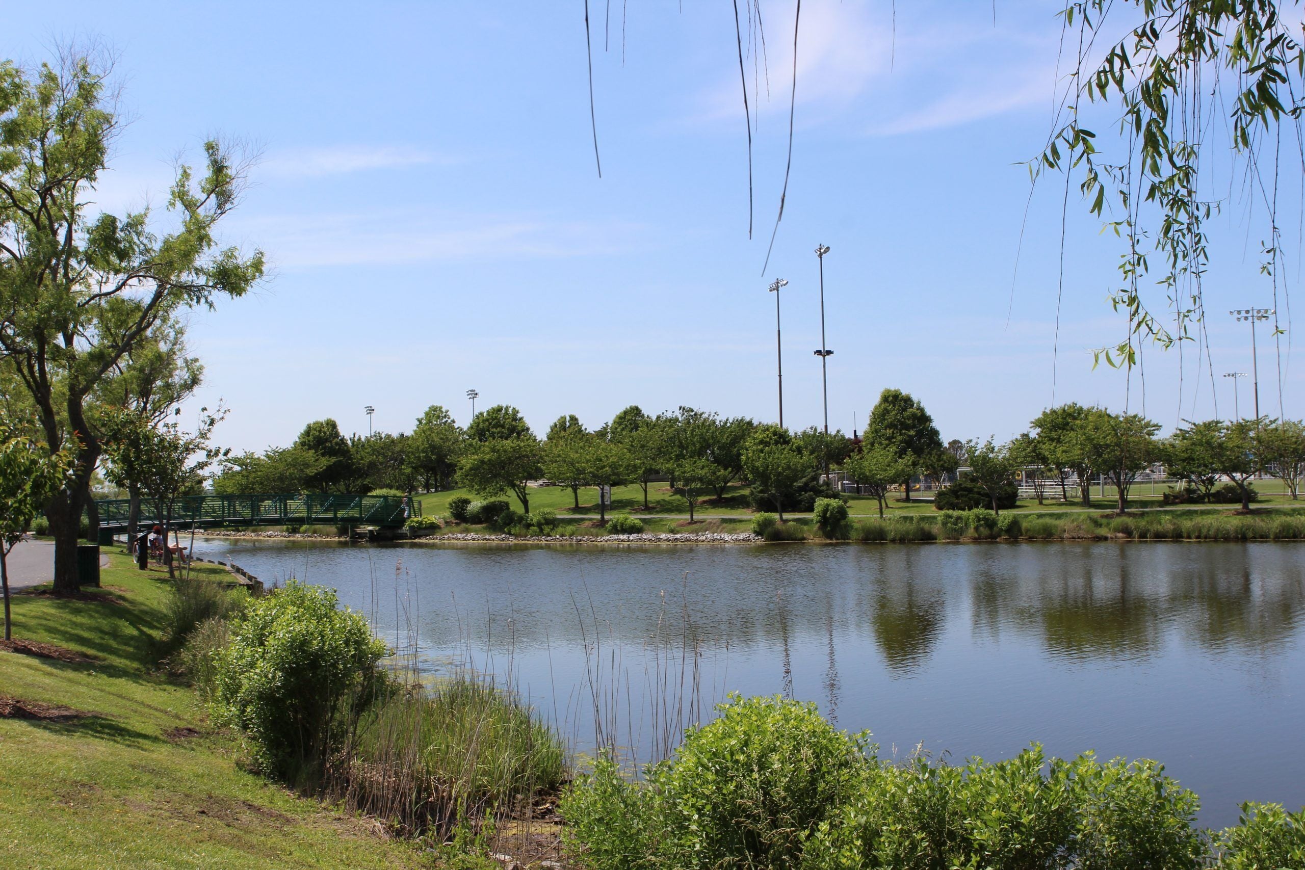 A serene park with a pond, trees, and a bridge.