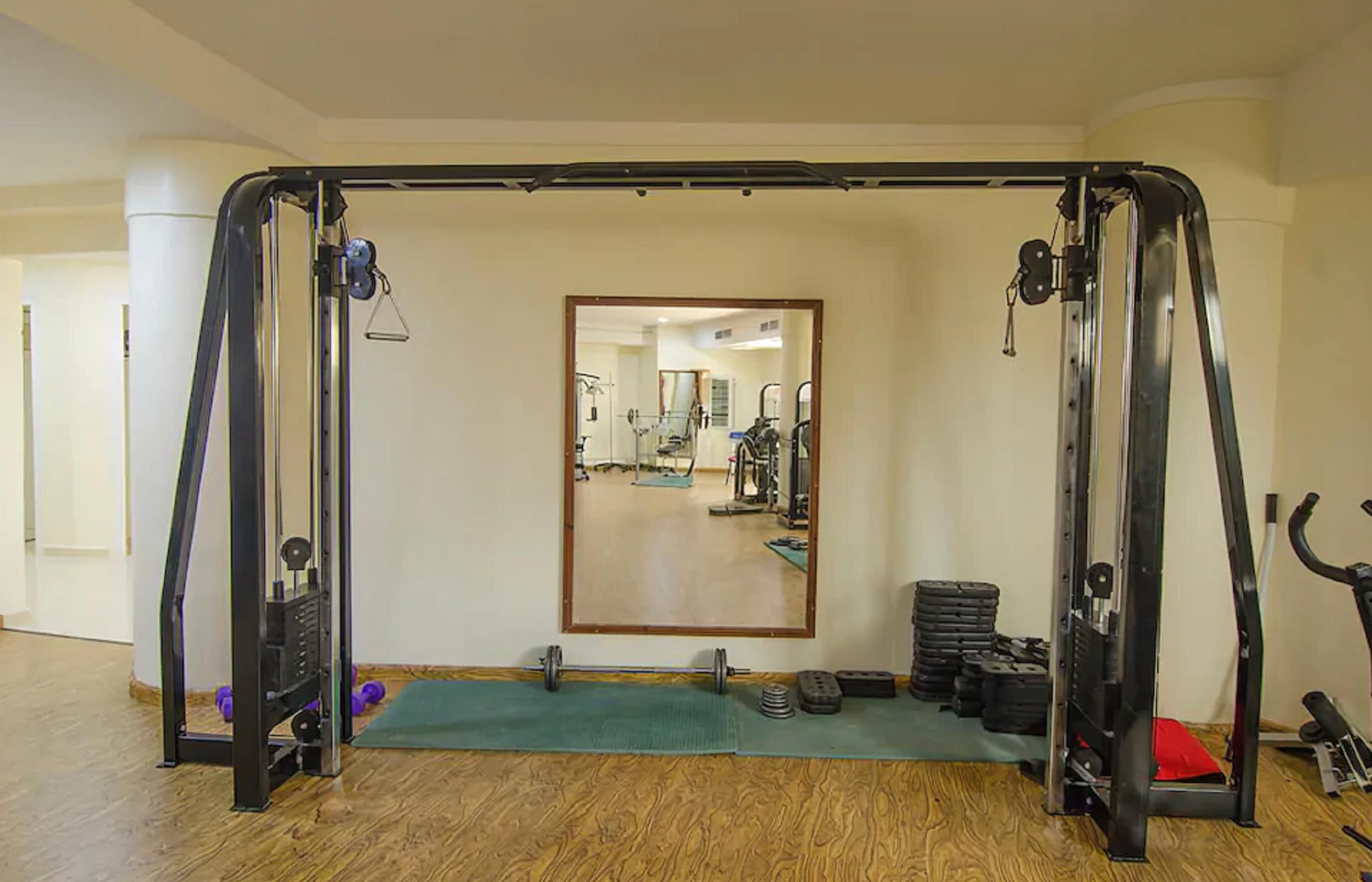Un gimnasio con barra de dominadas, estantes para pesas y un espejo.