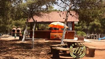 BBQ/picnic Area