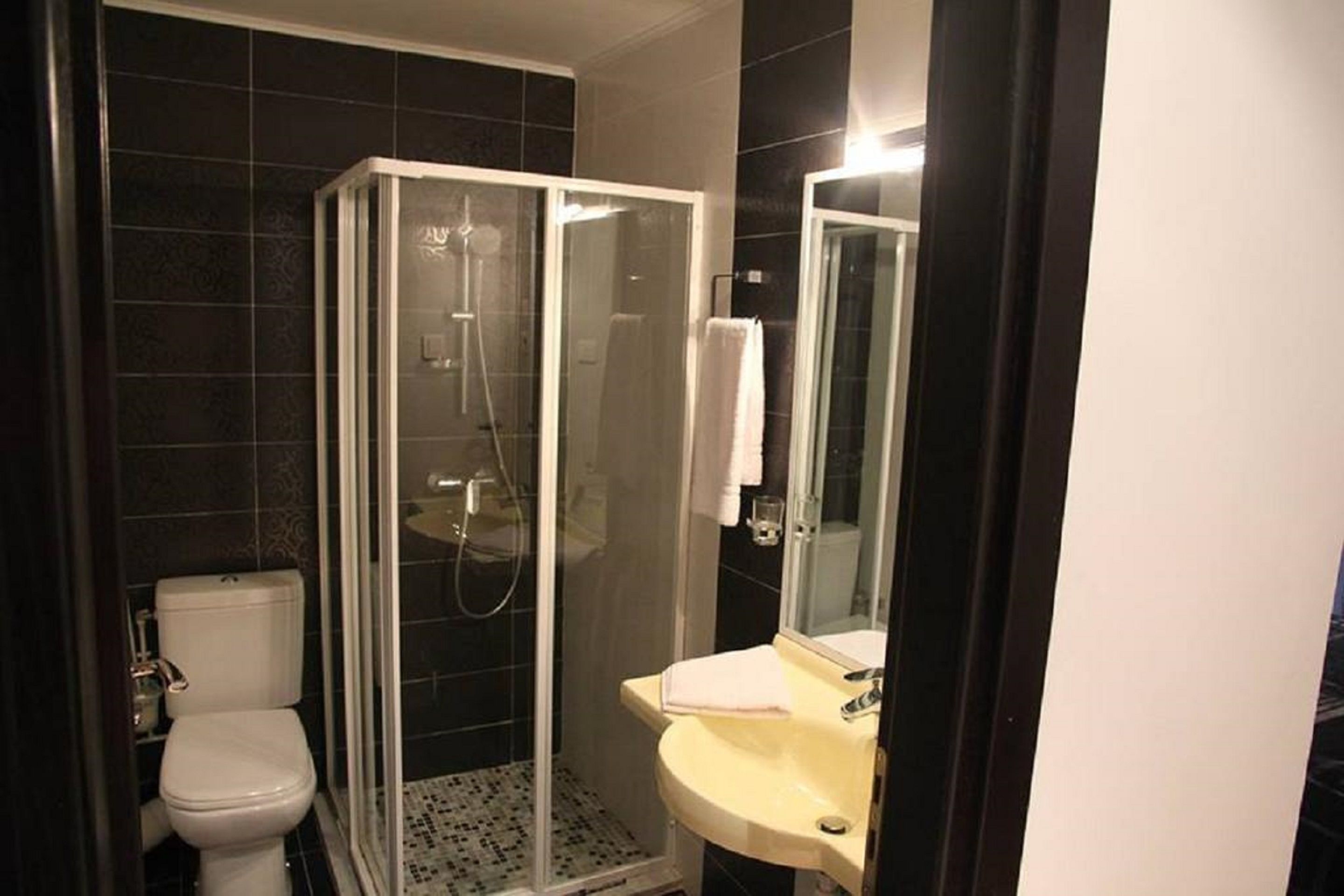 Un bany amb dutxa envidriada, vàter i un lavabo amb mirall.