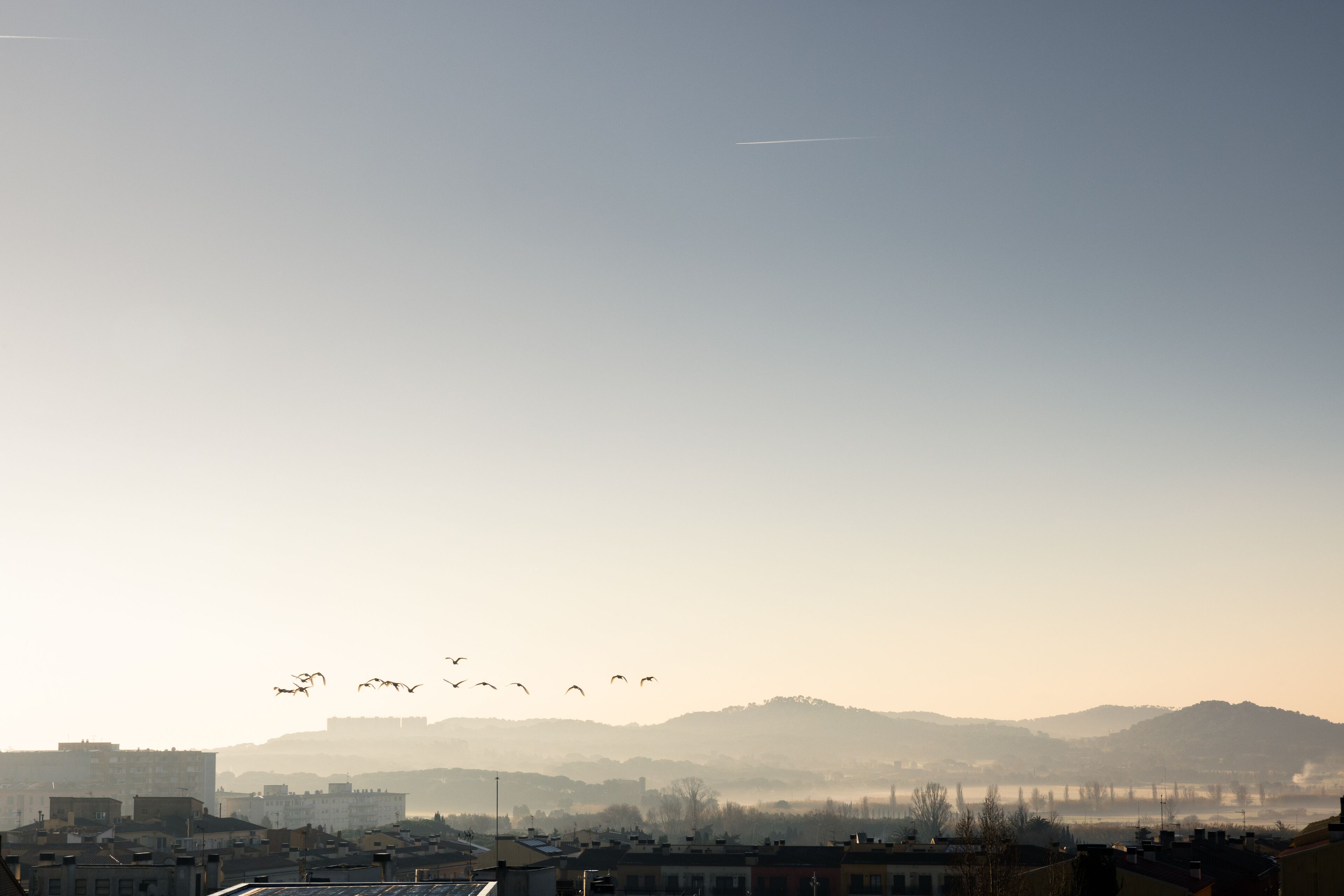 Foto - Arrels d'Emporda