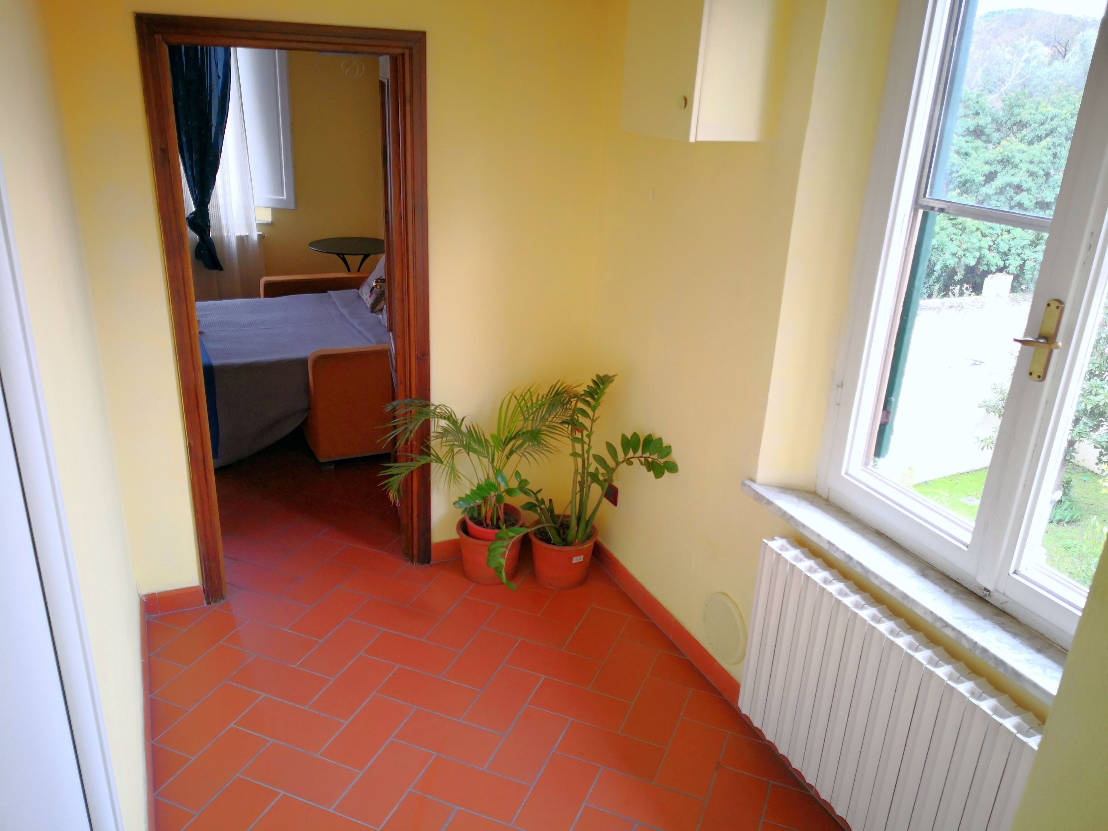 Foto - Window To The Tower