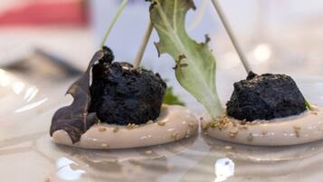 Two dishes with soil and greens on a reflective surface.
