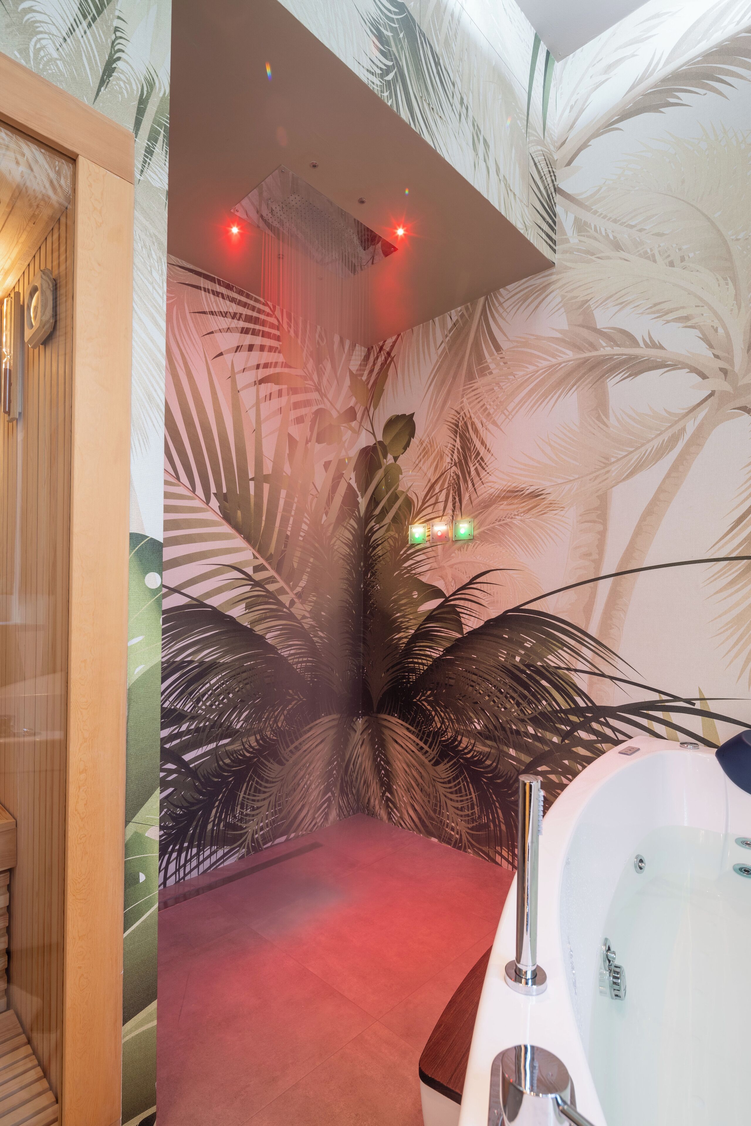 deluxe double room, 1 queen bed (with private spa) | bathroom | shower, free toiletries, hair dryer, bidet