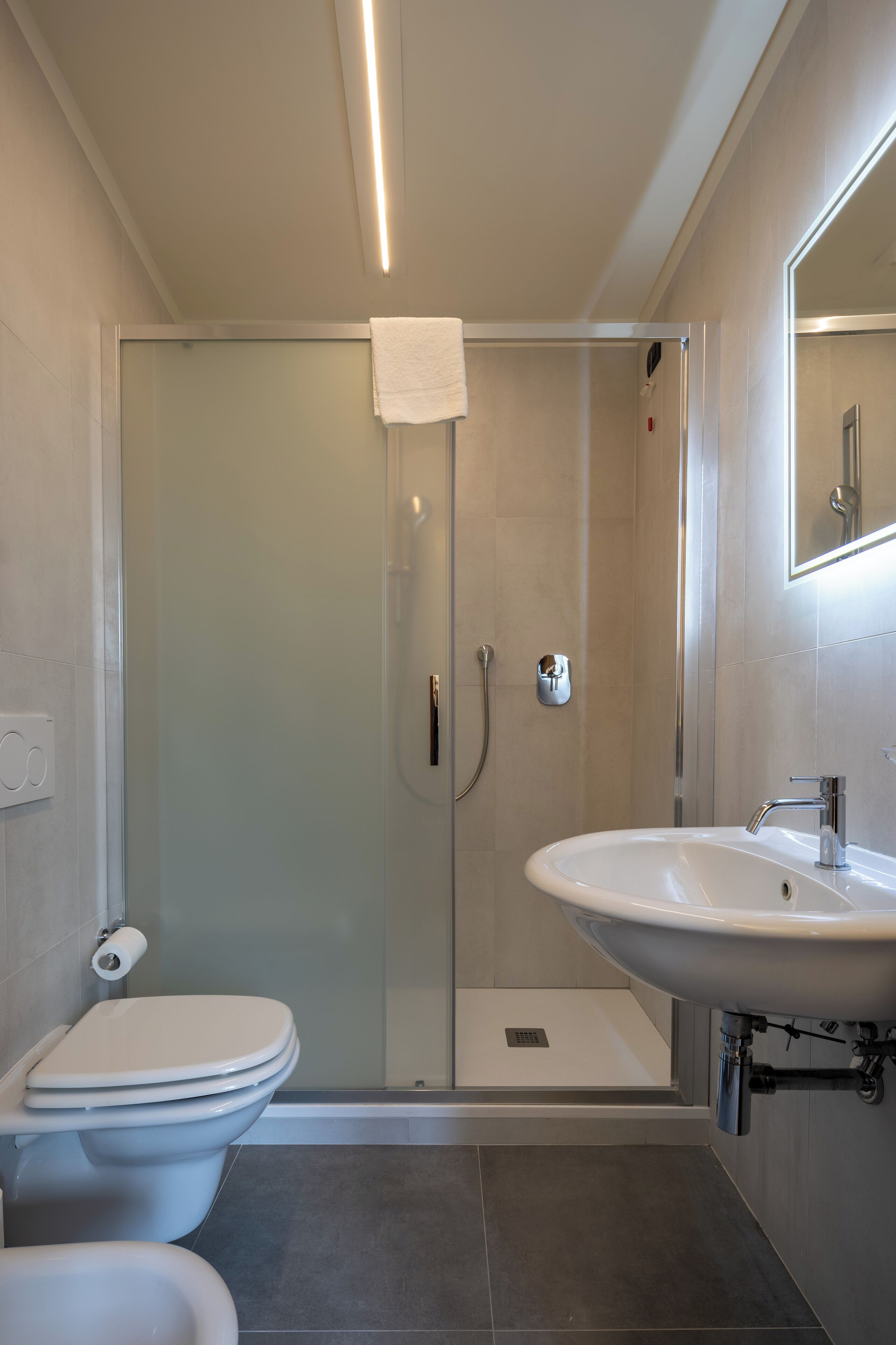 shower, free toiletries, hair dryer, bidet