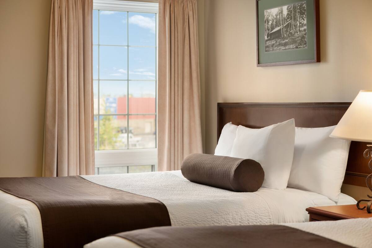 A hotel room with a large window, a bed with white and brown bedding, a framed picture on the wall, and a nightstand with a lamp.