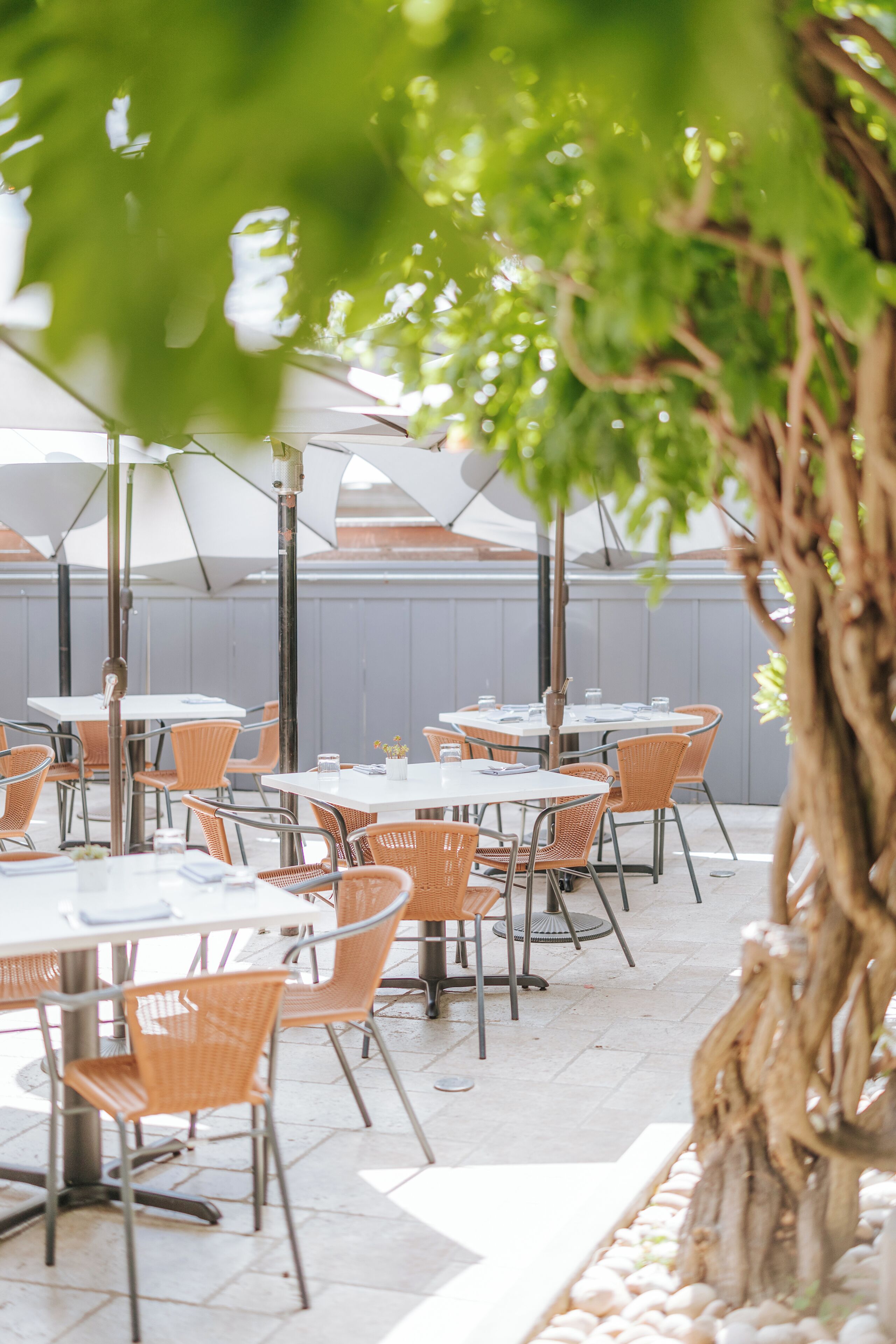 lunch and dinner served, californian cuisine